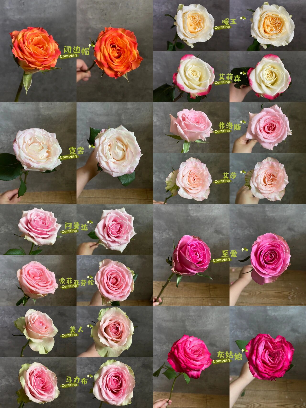 本次解锁:弗洛斯,美人,灰姑娘,艾莉森,暖玉,马力布,阔边帽,艾莎,至爱