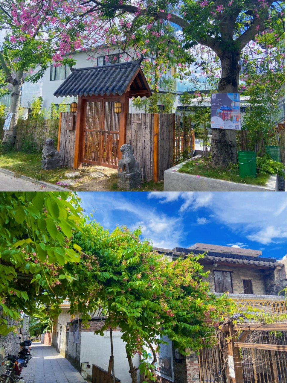 广东的江南水乡—石板沙自驾游攻略 93 新会石板沙 77159月19日