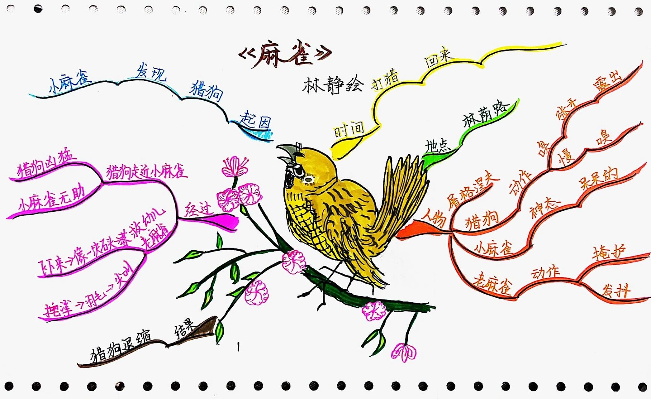 手绘思维导图——四上《麻雀》