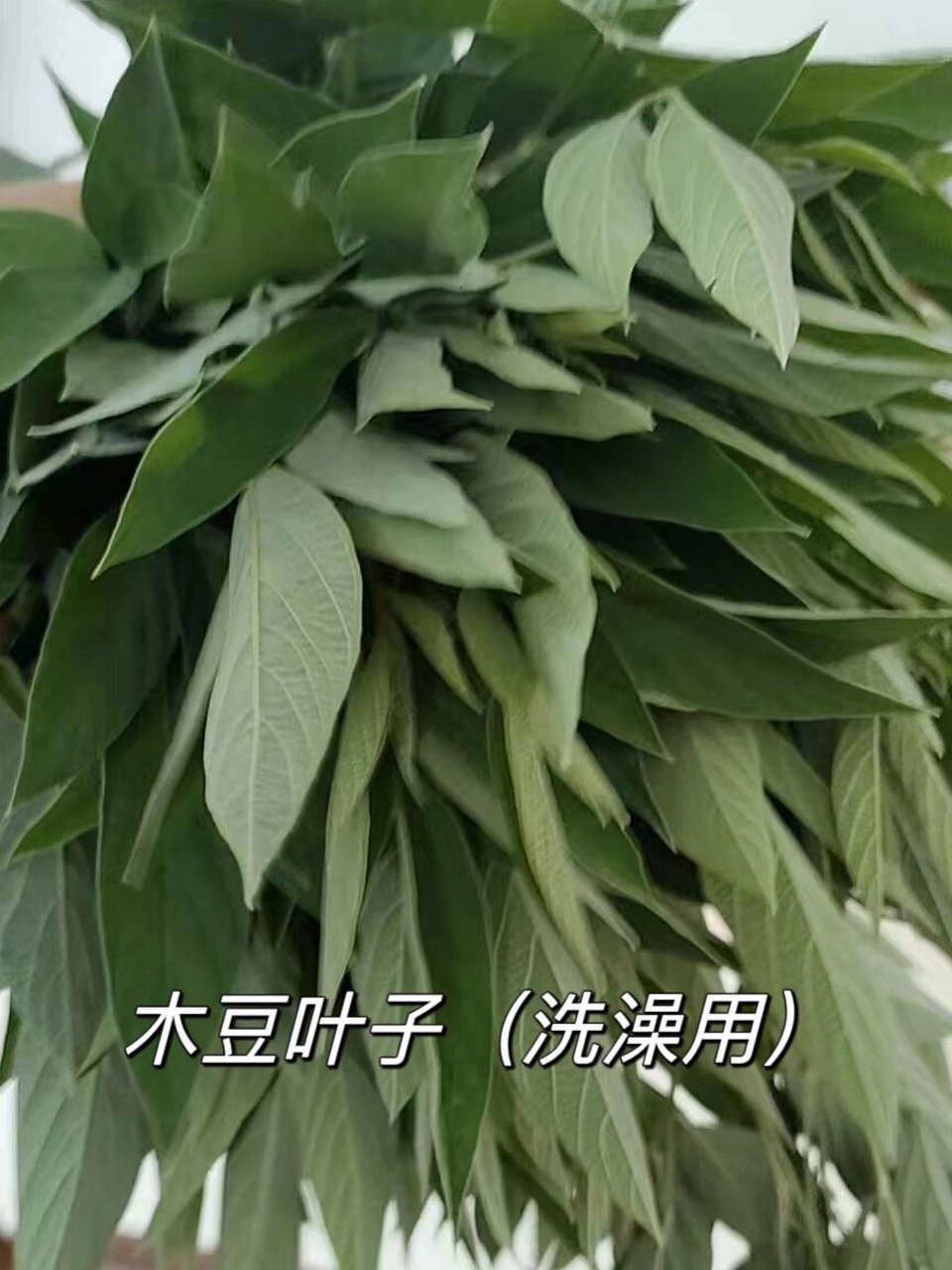 快来看看水痘如何治愈～ 宝宝现在8个月,前段时间姐姐先出的水痘,结果
