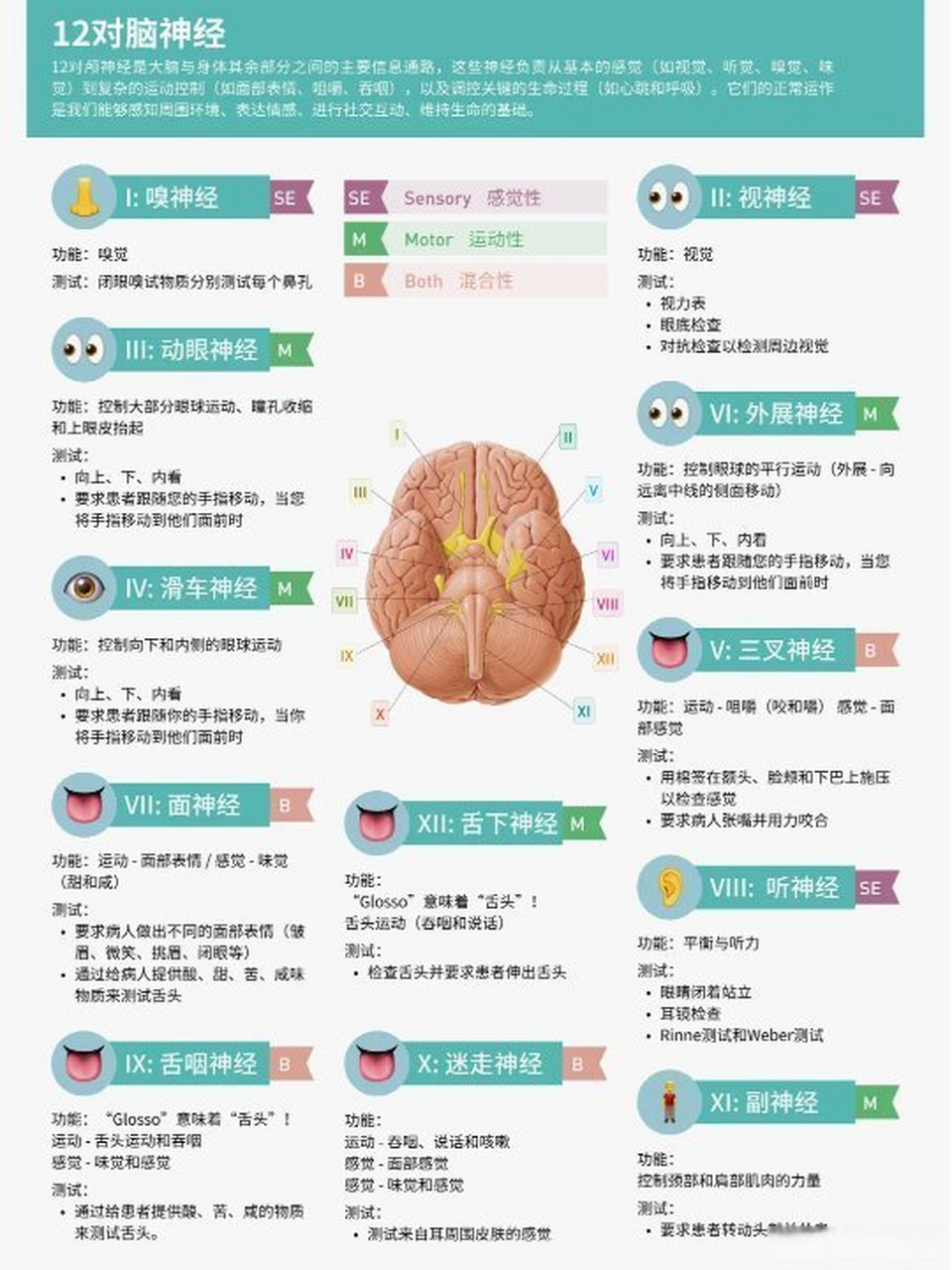 脑场生命意识健生法图片