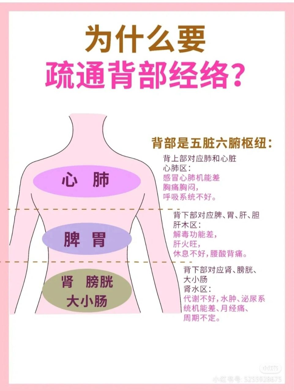 身体后背经络图酸痛图片