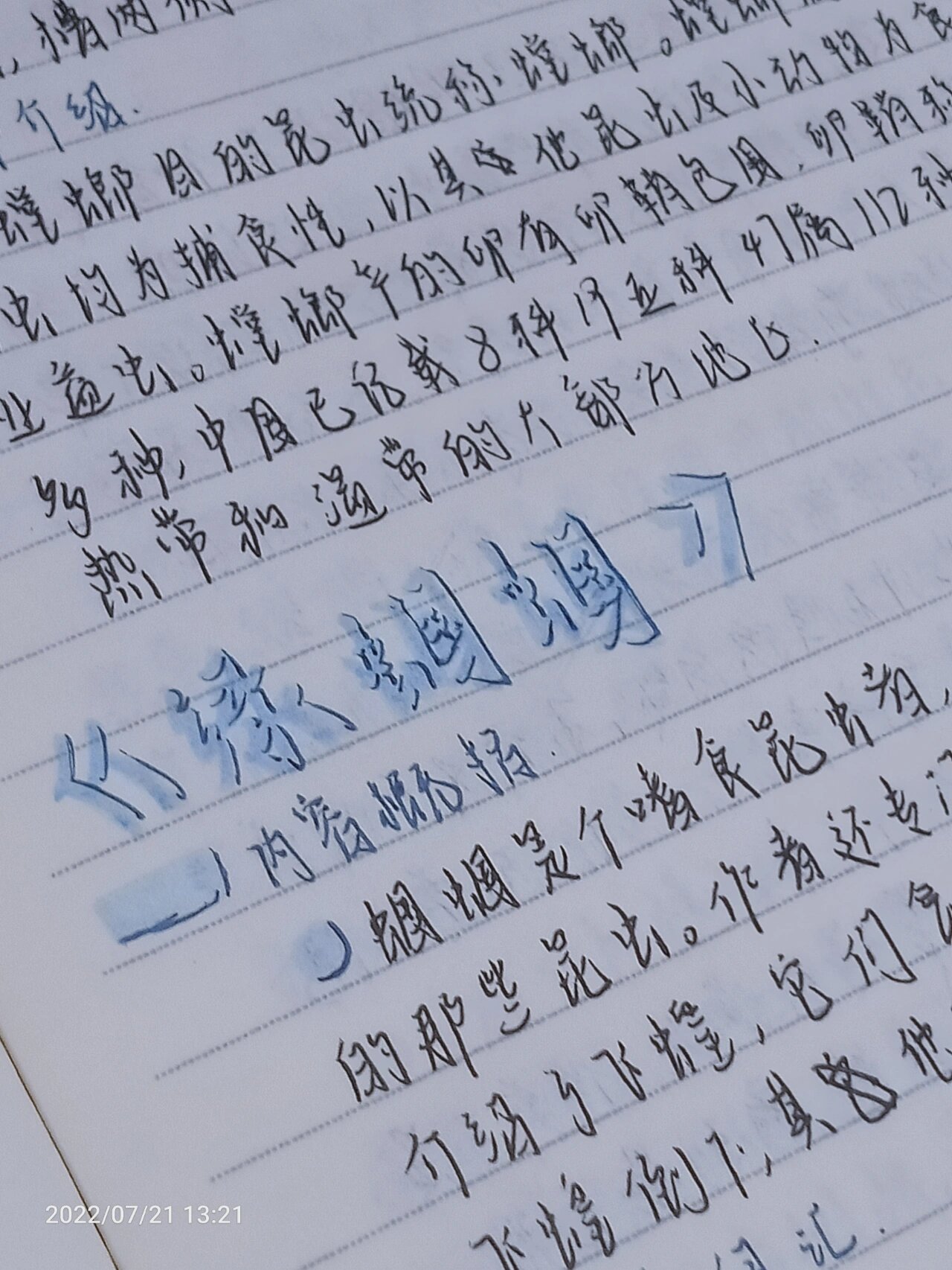 《昆虫记》读书笔记