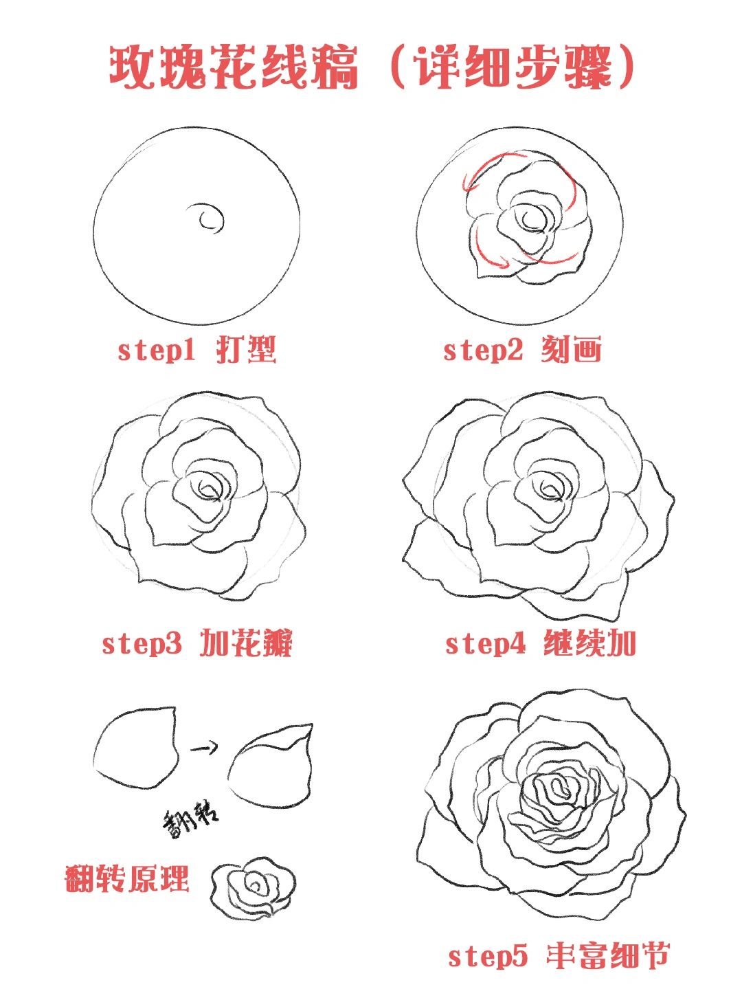 零基础插画教程|超简单玫瑰花的画法95