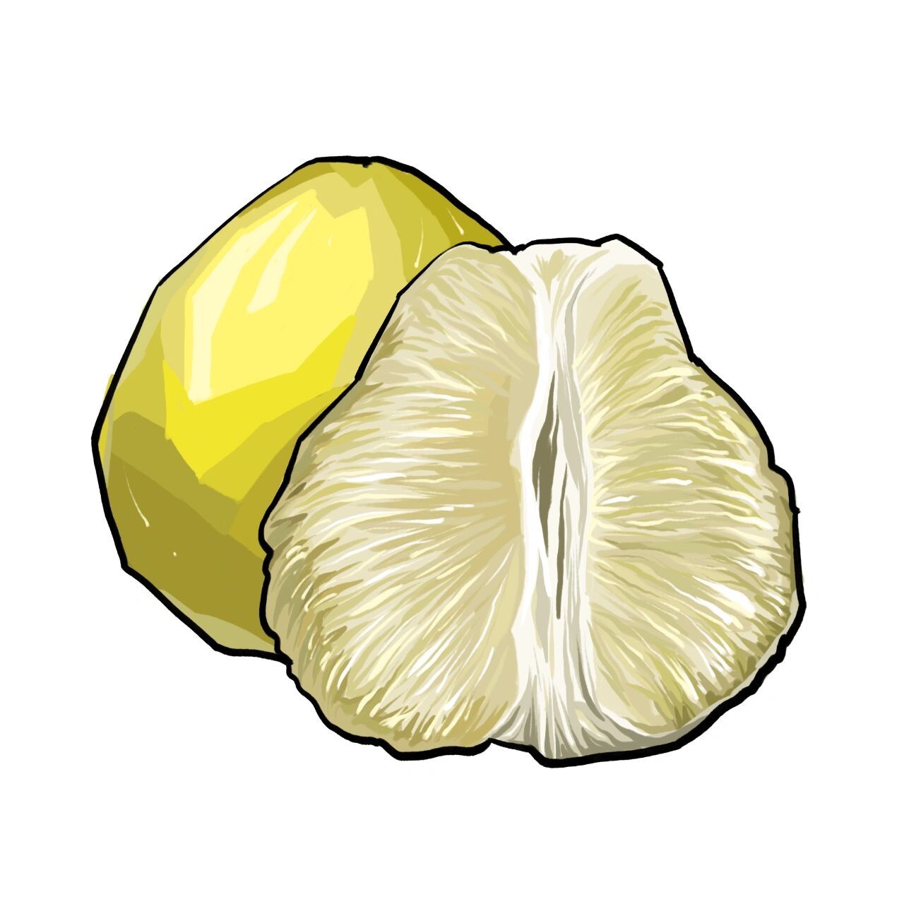 柚子简笔画教学