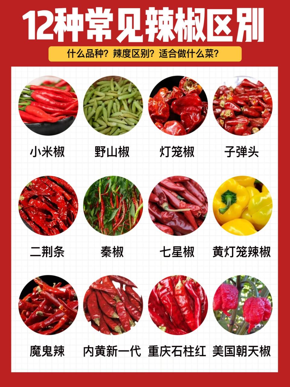 辣椒的品种名称及图片图片