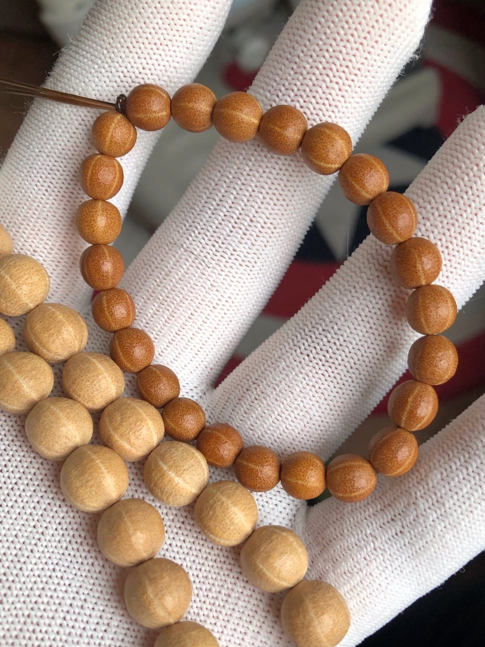 故宫五线菩提 故宫英华殿五线菩提0.