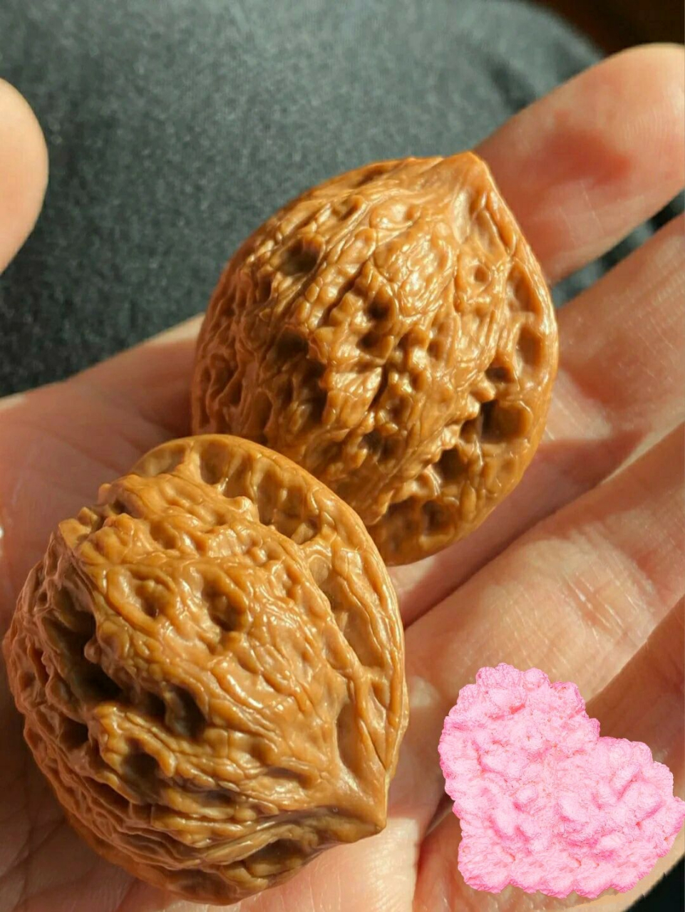 文玩核桃品种介绍(六)公子帽 说起公子帽,大家第一印象就是崔凯公子帽