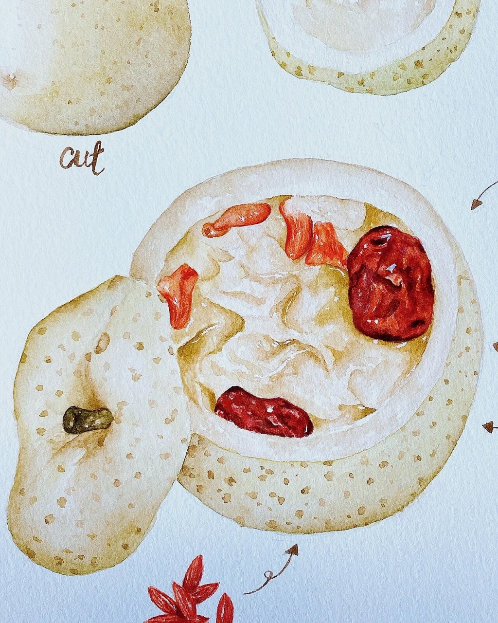 水彩美食 手绘食谱 冰糖炖雪梨 附过程图 参加i g的foodartmonthly