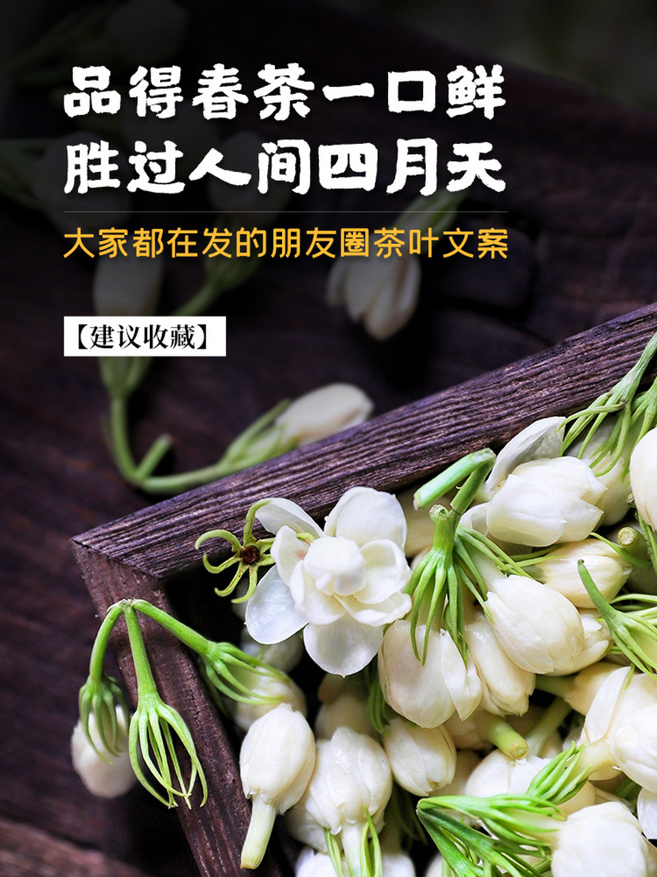 这些唯美的朋友圈茶叶文案赶紧收藏起来!