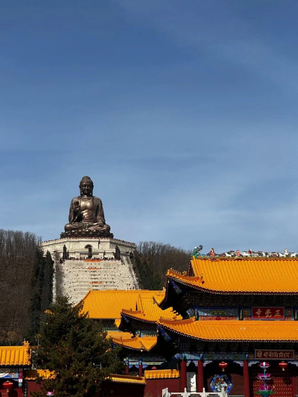 10三日面向全女性免费开放 金鼎大佛坐落于吉林省敦化市六鼎山国家