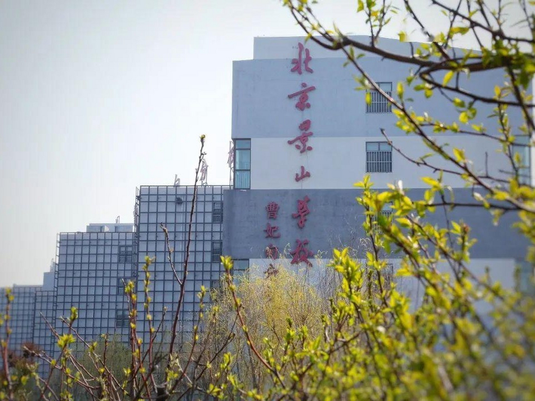 北京景山学校曹妃甸分校国际部招生简章 北京景山学校曹妃甸分校国际
