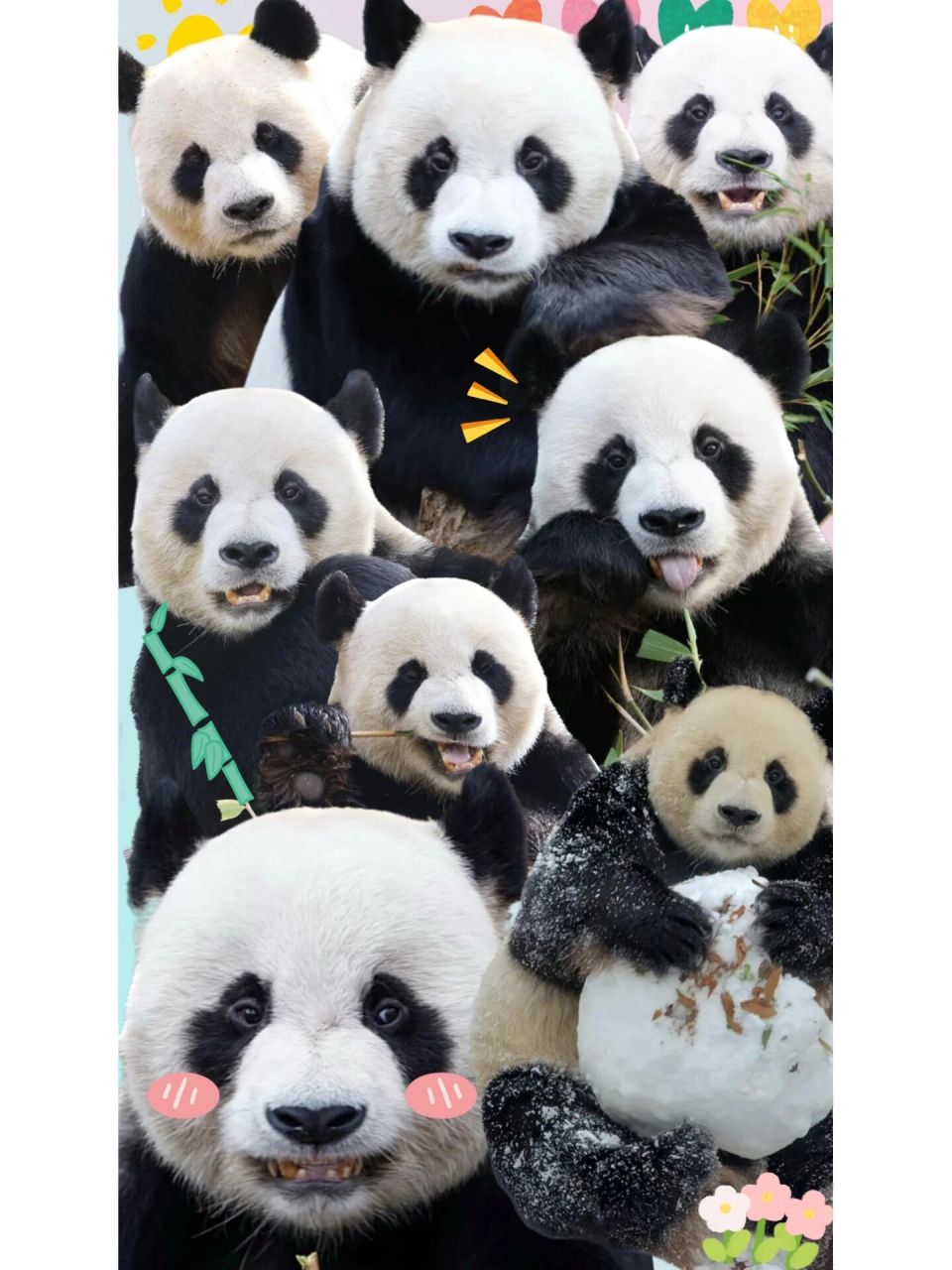 乐宝宝壁纸 太可爱了 满满的乐宝