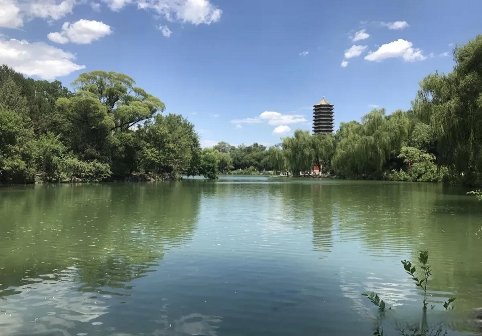 北京市,海淀区颐和园路5号,游客参观北京大学,蓝天白云下的北大未名湖