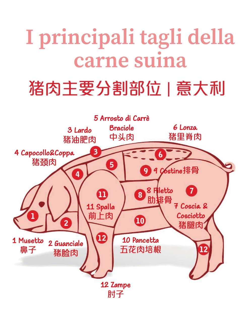 你真的会吃99吗 意大利语猪肉分割图 guanciale猪脸肉 lardo猪油