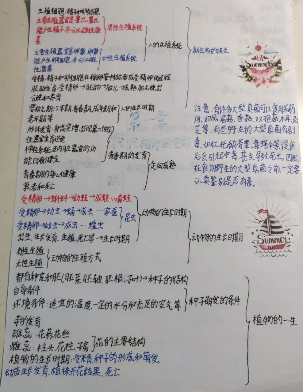七下科学第一单元代代相传的生命思维导图