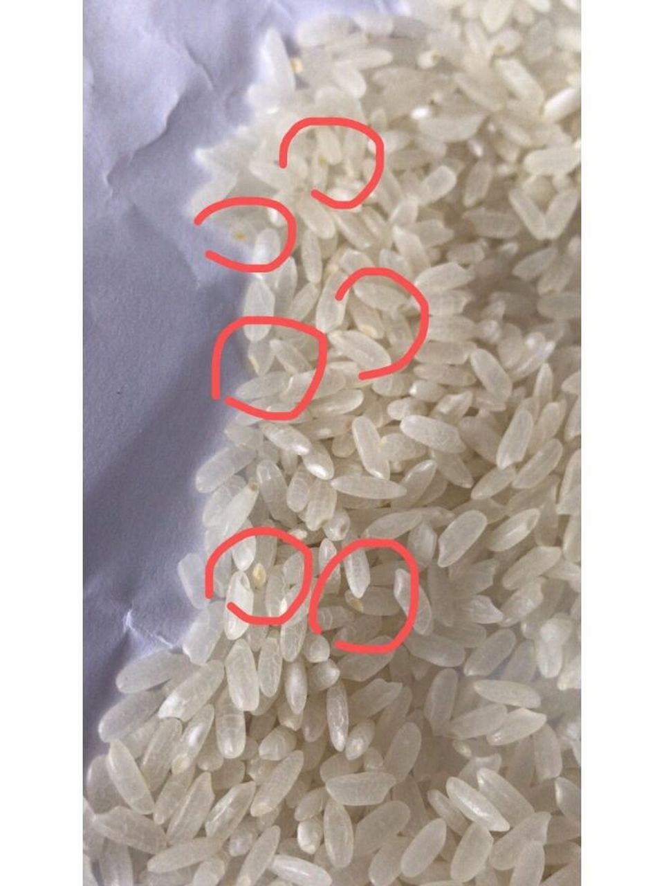 还是说是陈米啊?黄点是黄曲霉素吗?