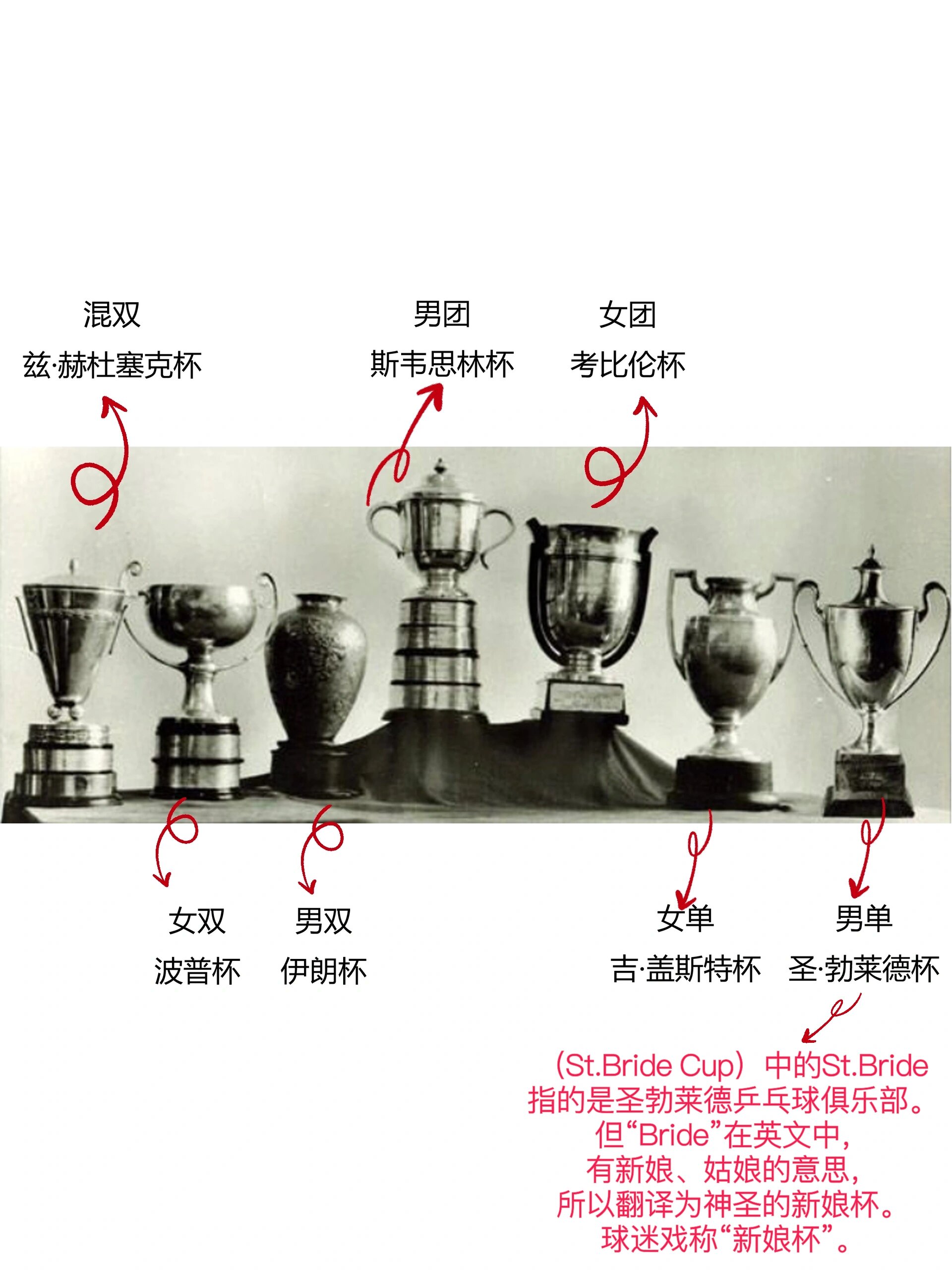 乒乓球世 界杯三四 名奖金解相关图片2