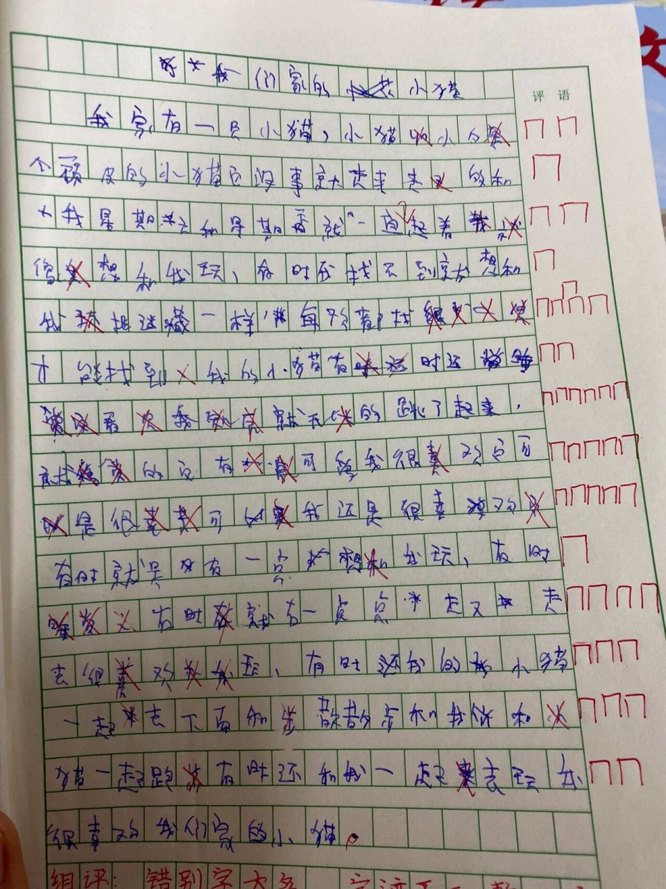 作文参考～我们家的小猫咪93 悲喜交织,独乐乐不如众乐乐 晚安我的