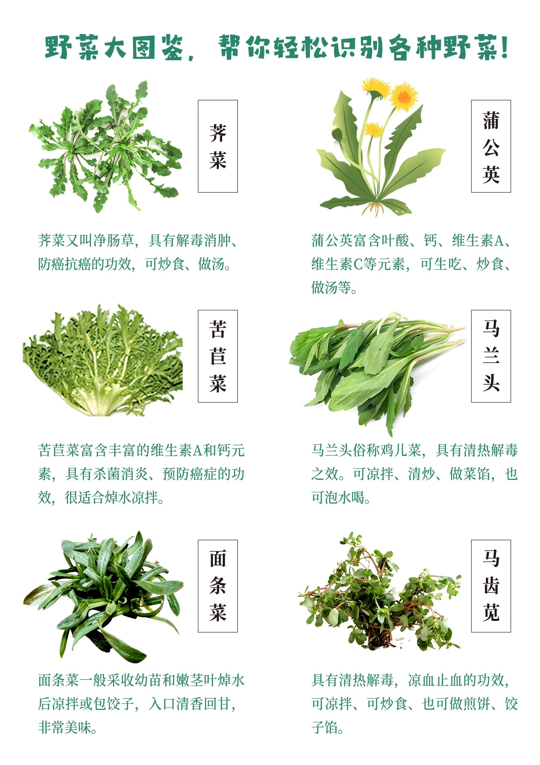 赏花踏青挖野菜