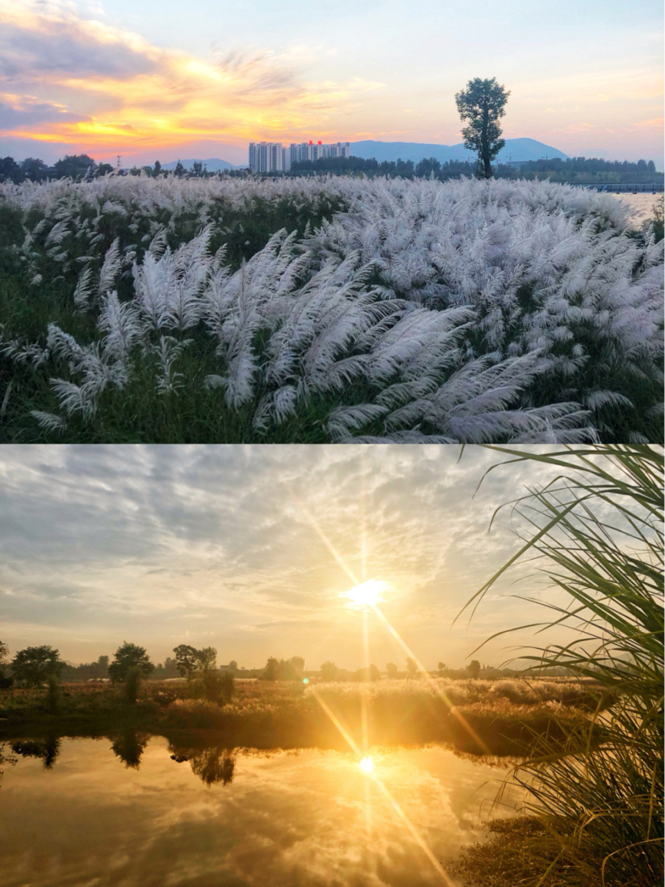 汉江濂水河畔湿地公园图片