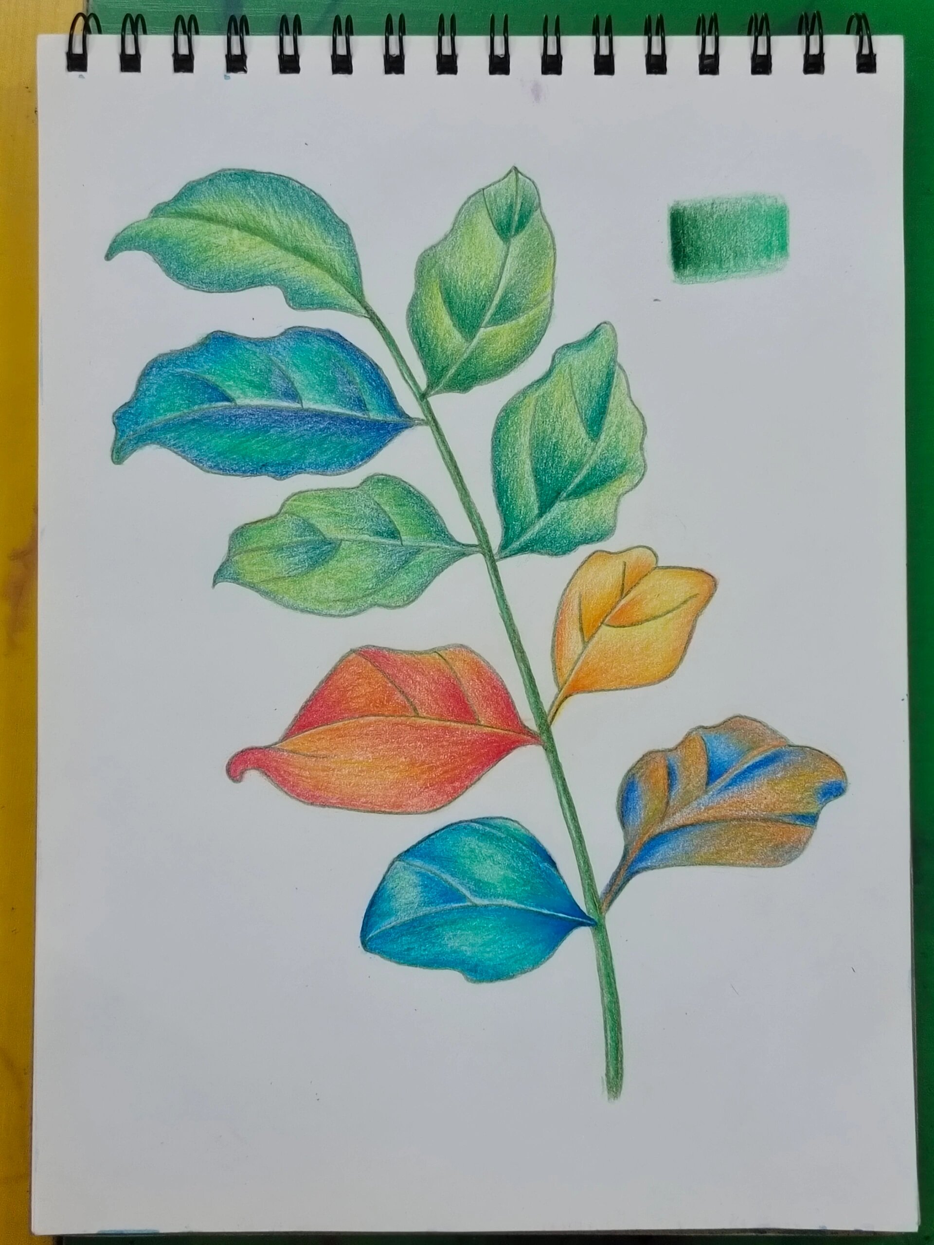 彩铅树叶 本来都是绿叶子,尝试换换不同的颜色.