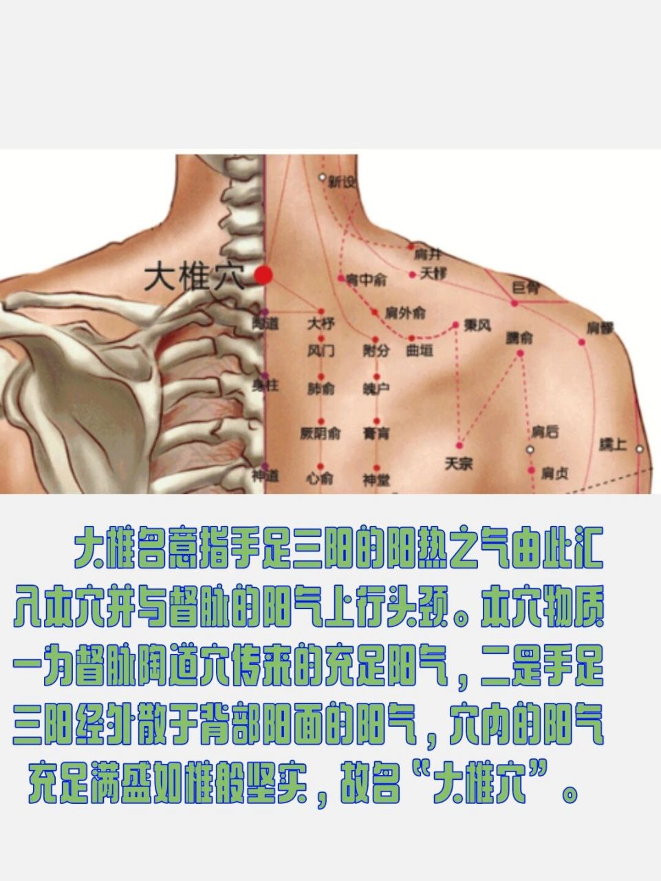 大椎准确位置图图片