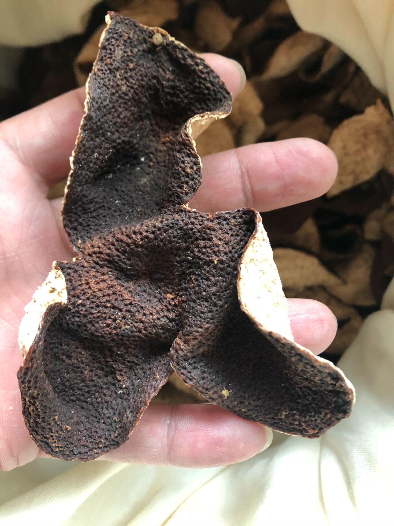 1 热痰 痰黄黏稠,坚而成块,因热邪煎熬津液,灼炼成痰之故.