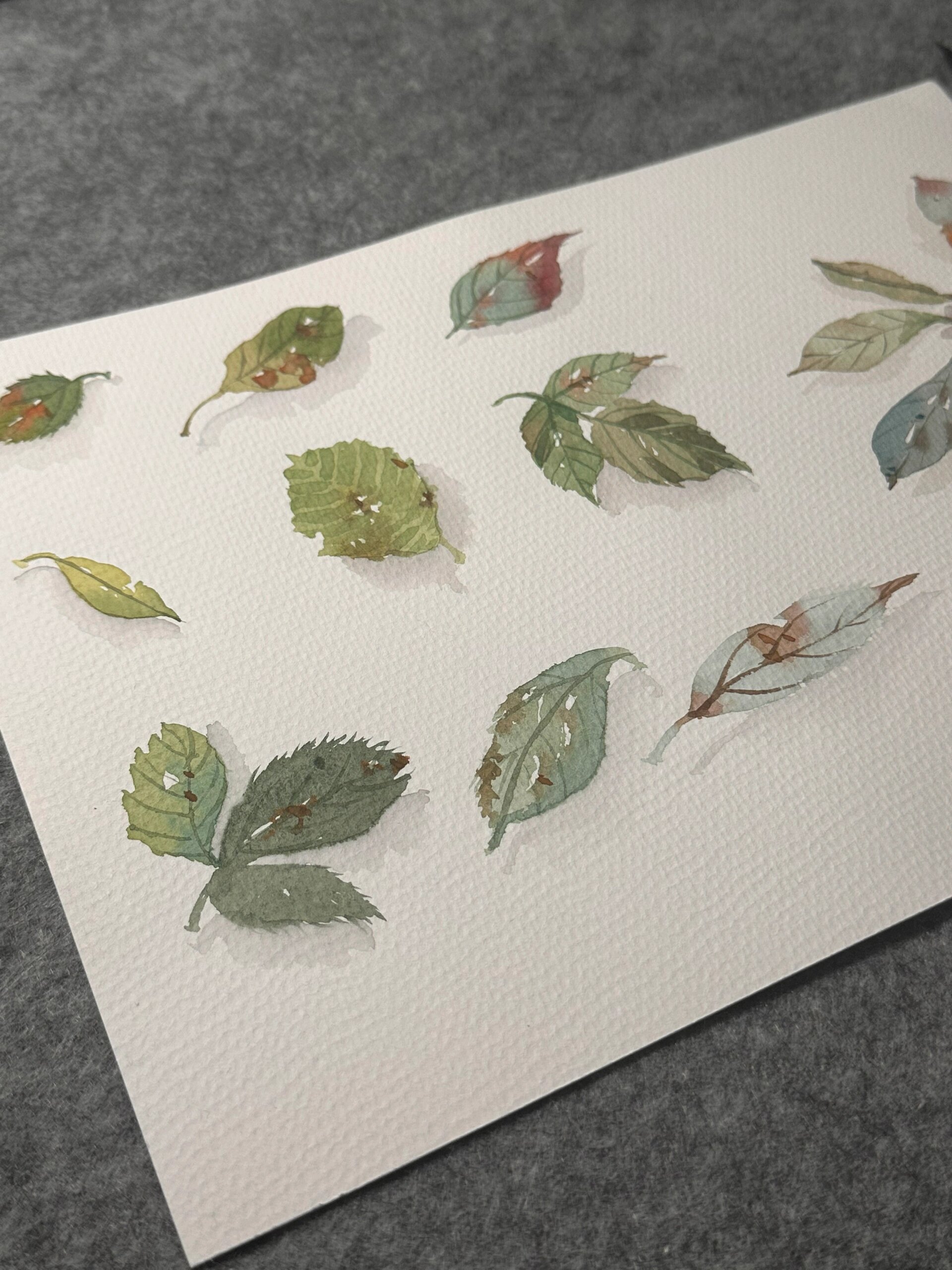 零基础挑战水彩画100幅(17/ 100) 脱稿小树叶～ 9015秋宏斋秀意