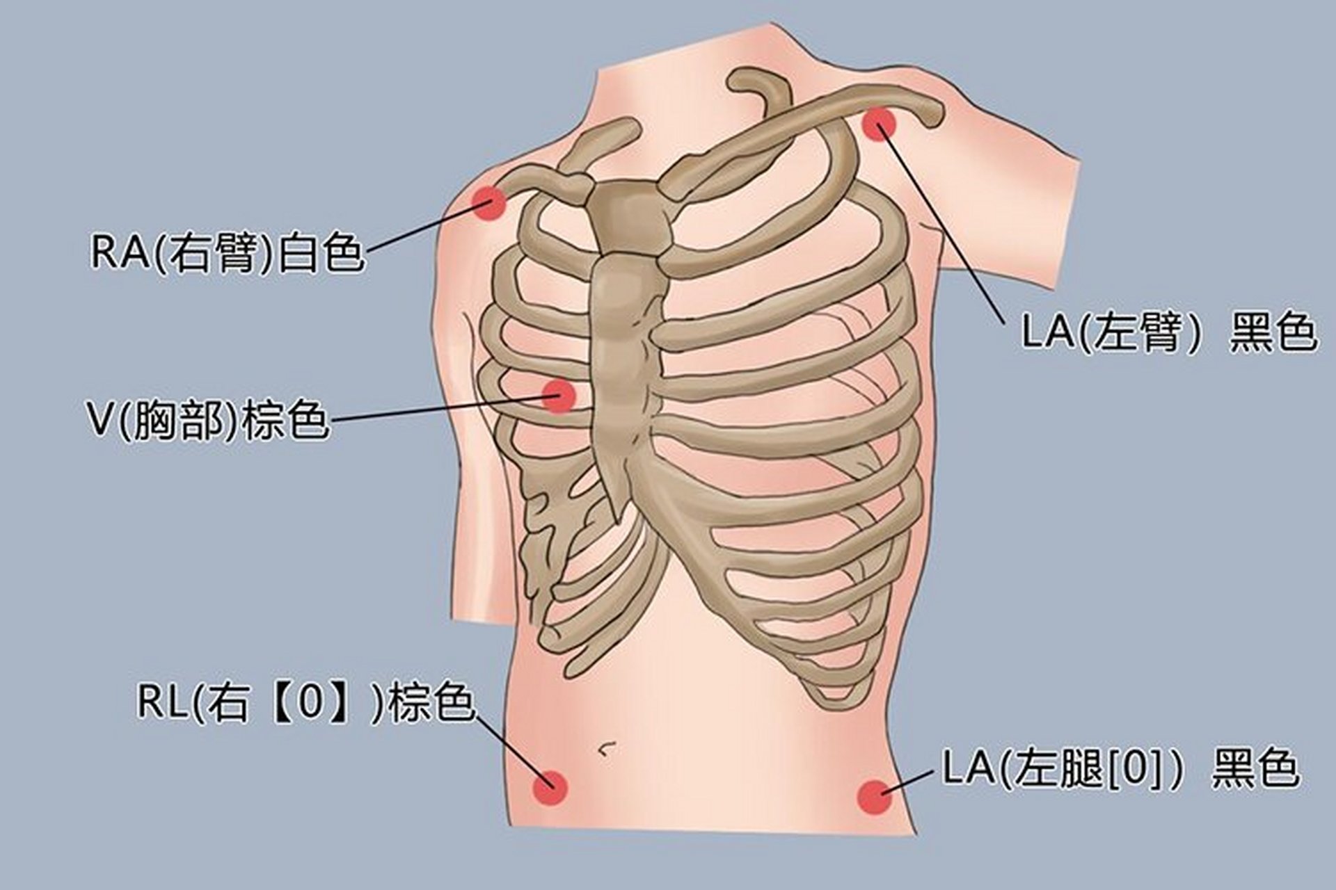 五导联怎么定位图片图片