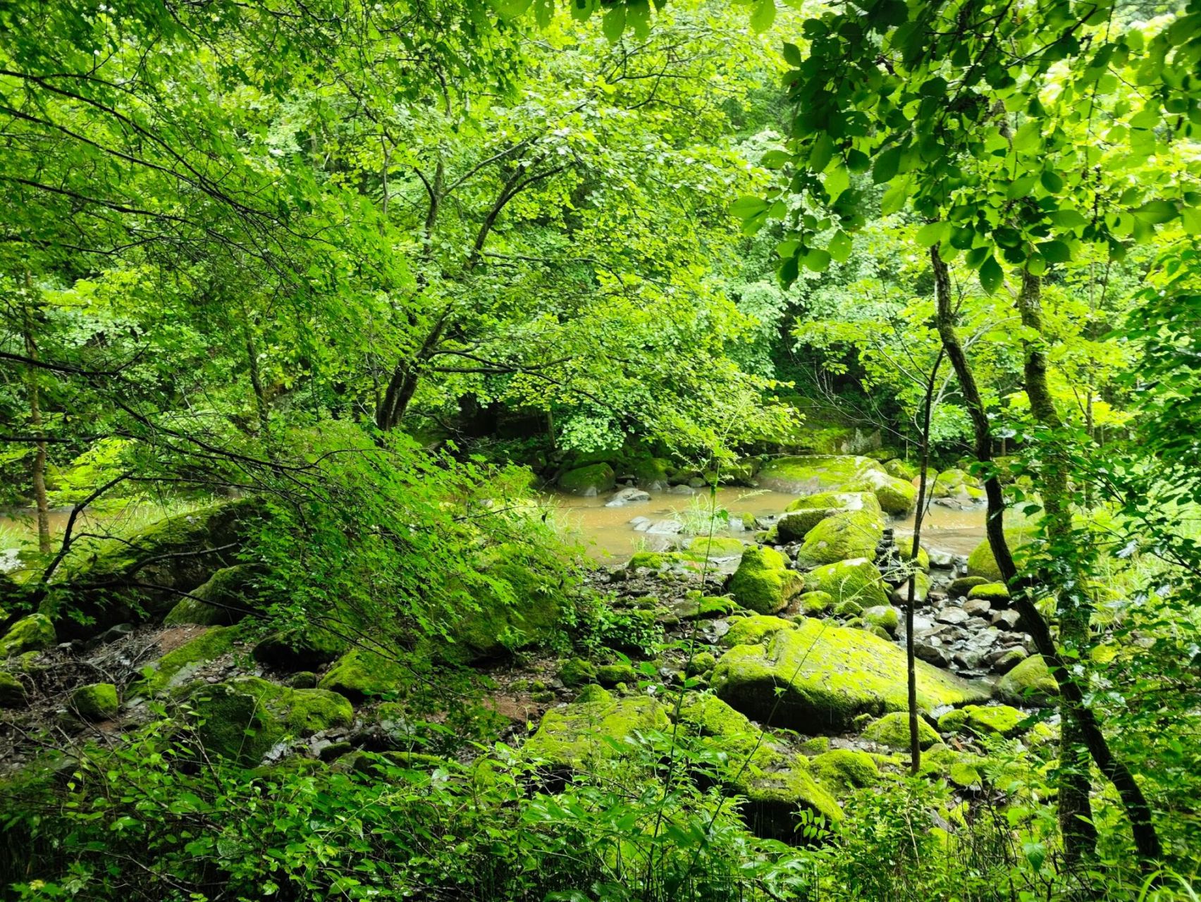 茅兰沟国家森林公园 个人认为这是伊春3个大公园里风景最好的,也是路