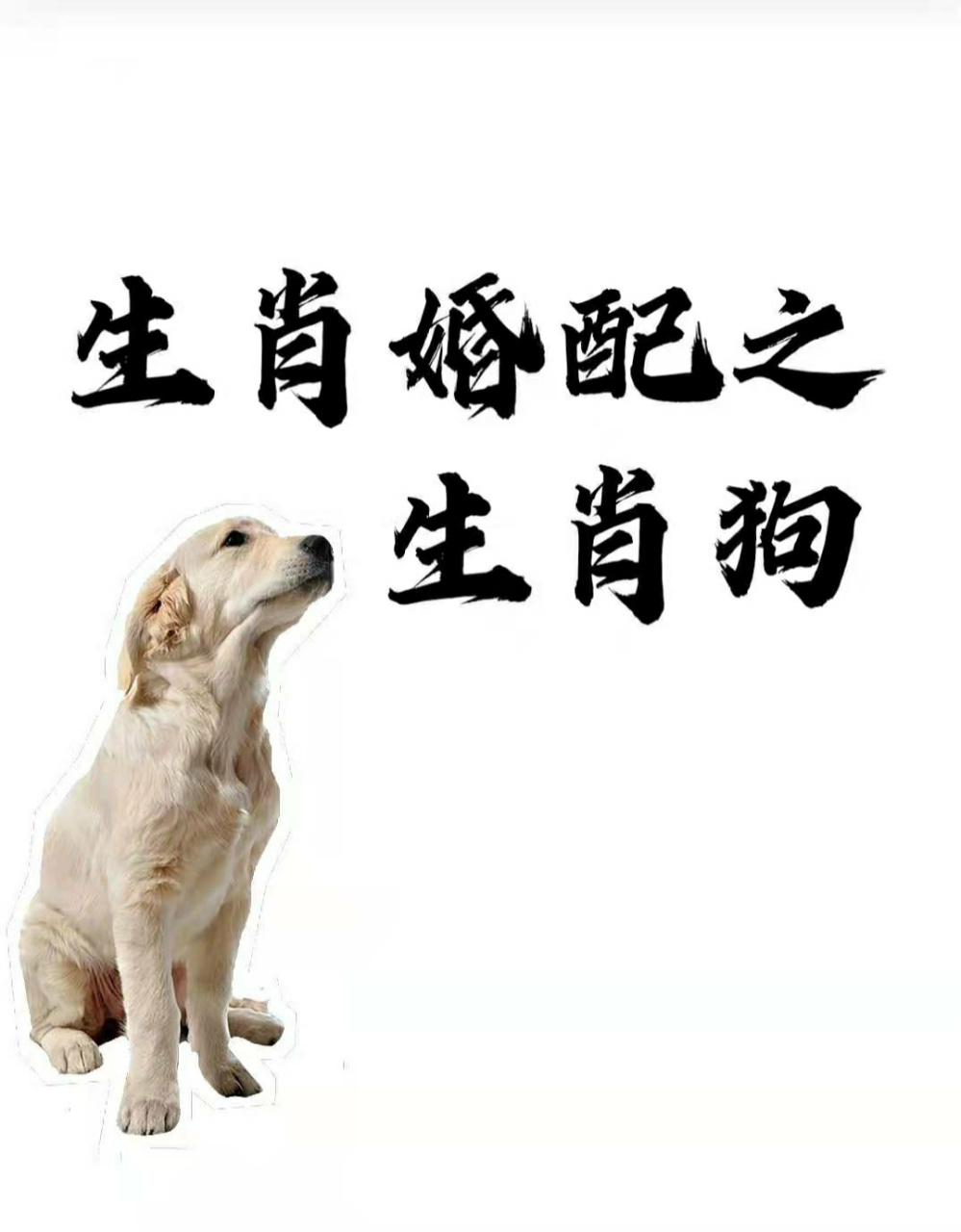 9899女狗 男鼠:相当幸福,因为双方都乐于为双方奉献.