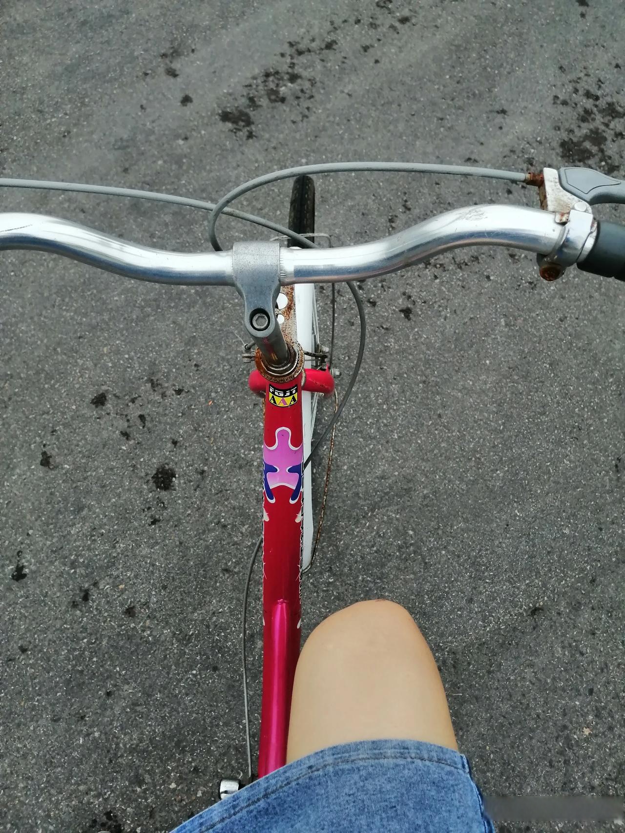 坤车骑出这速度是不是也很可以了  女士自行车被称为"坤车"的原因是