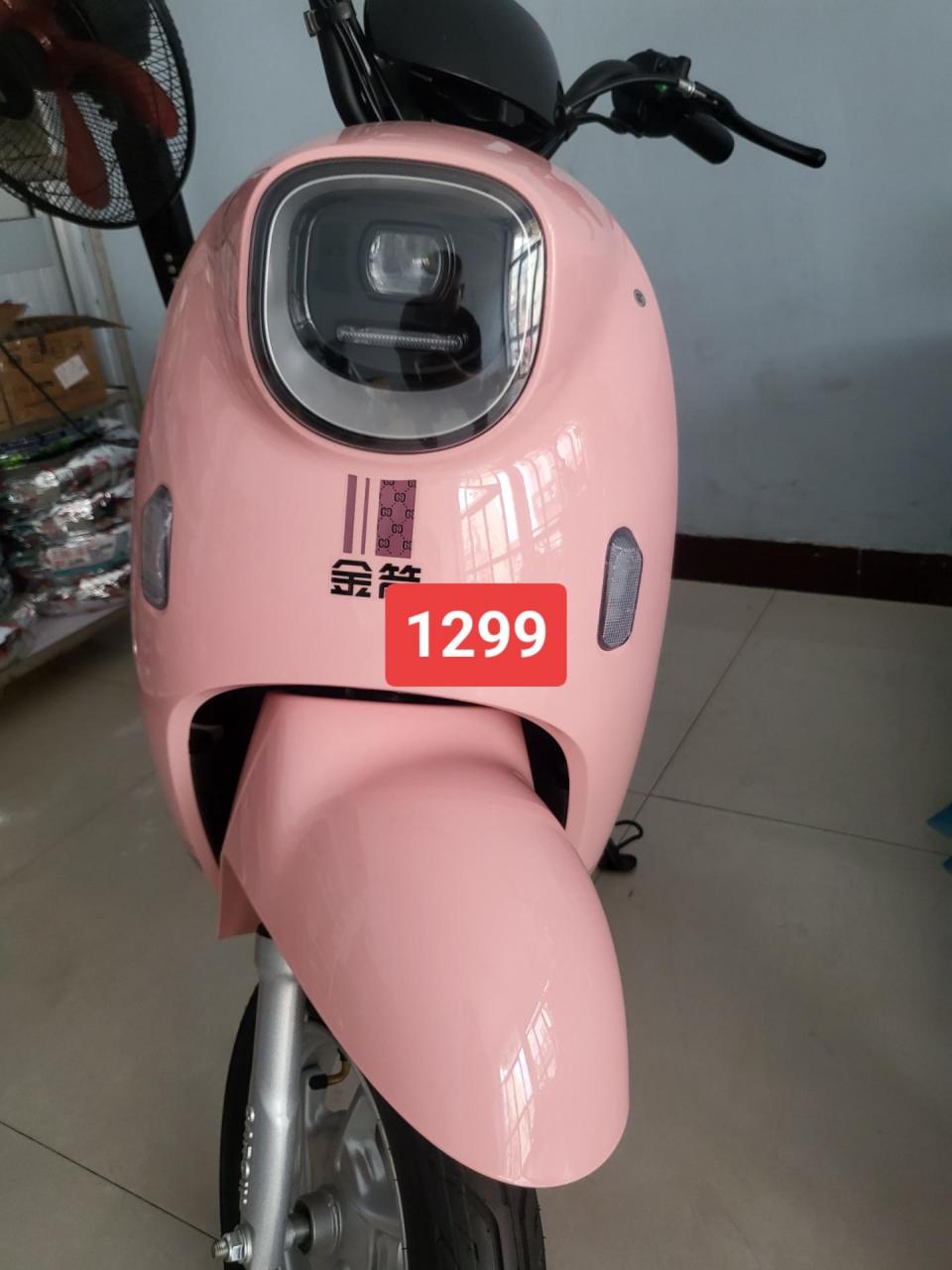 骑不坏的金箭电动车,安装五块大电池图片粉色款以旧换新1299元!