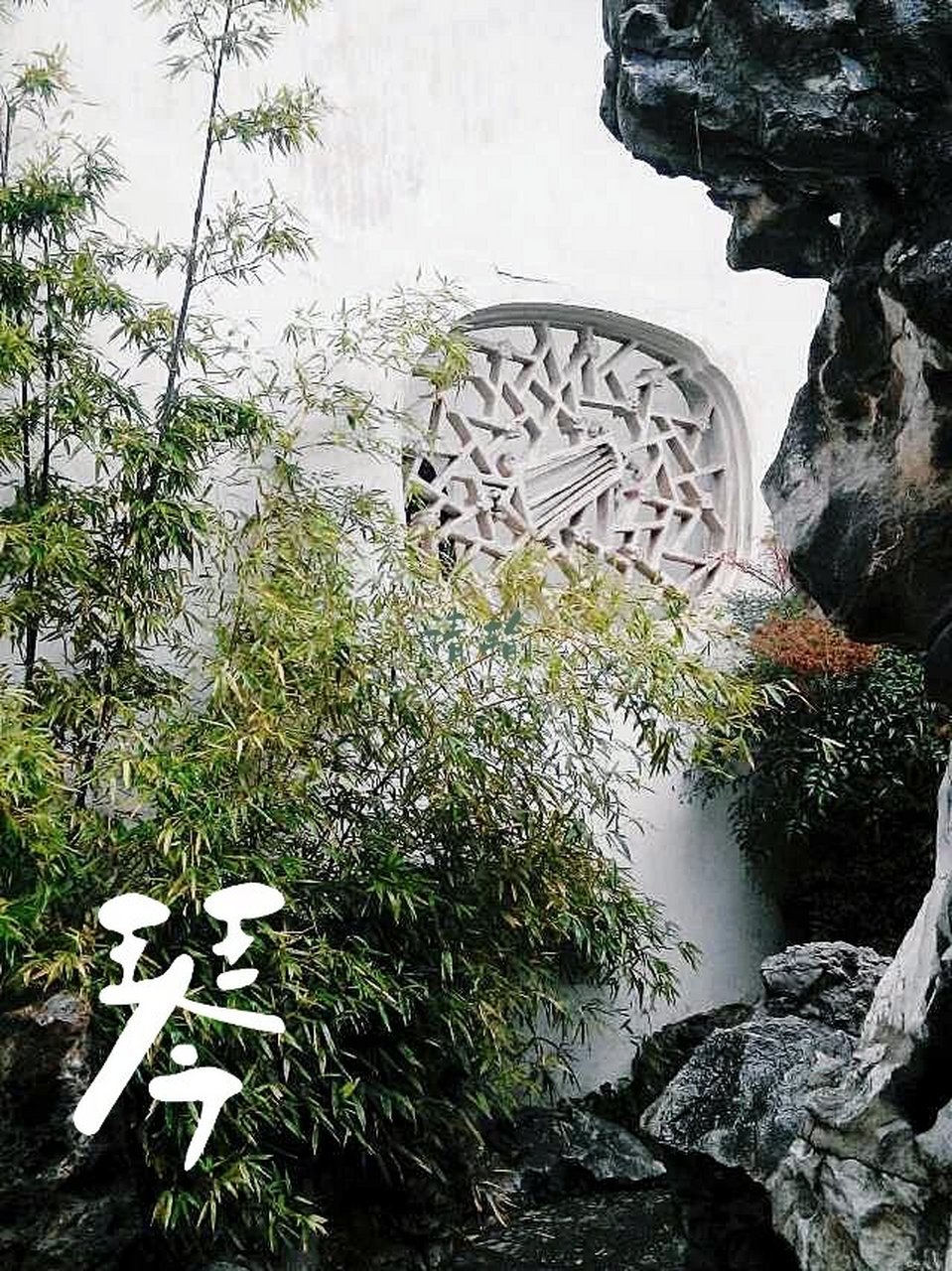 狮子林 几年前去苏杭实习写生的时候拍的狮子林的"四雅"漏窗,四个不同