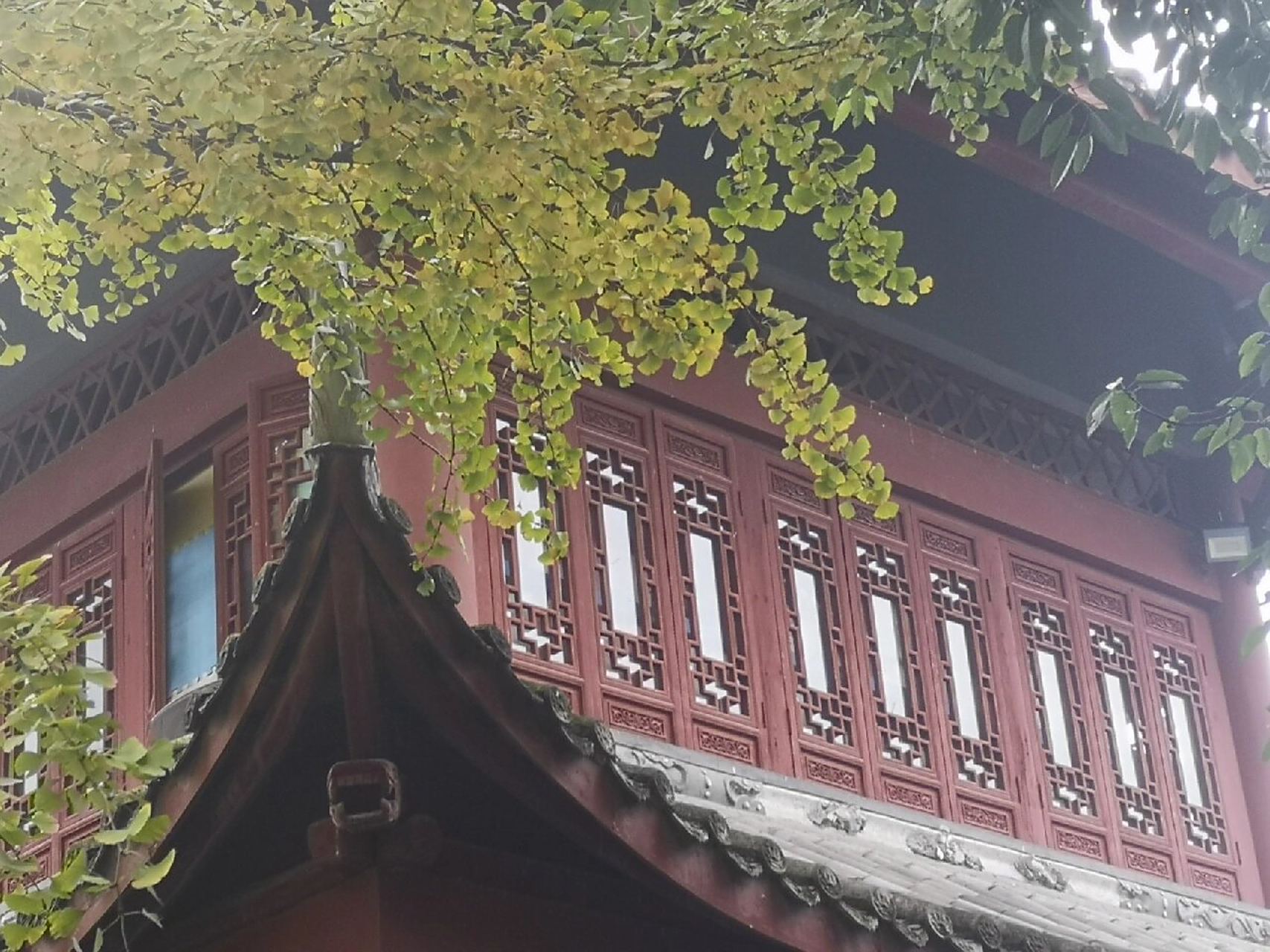 四川崇州高山寺秋游 心旷神怡 一点儿商业气息都没有 有机缘可以和