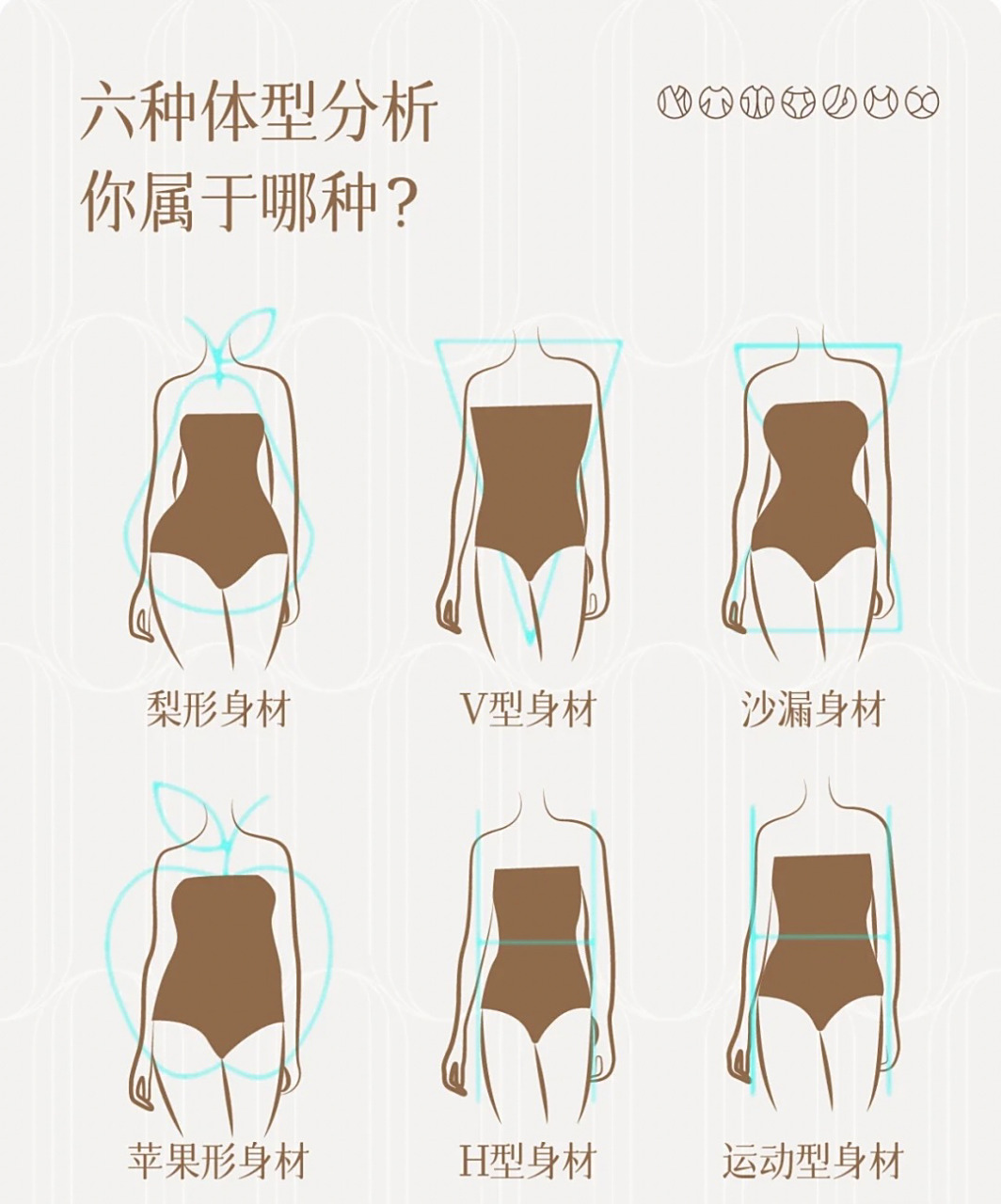 体型的妹纸,-般都是某一部位特别突出,所以才会准确的落入体型分类中