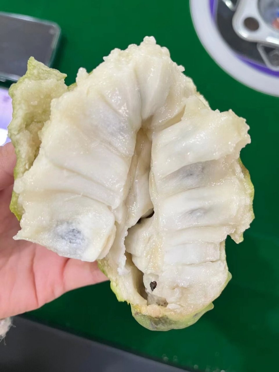 牛奶释迦 【牛奶释迦果】 肉乳白色,富含维生素a,b,c及蛋白质,铁,钙