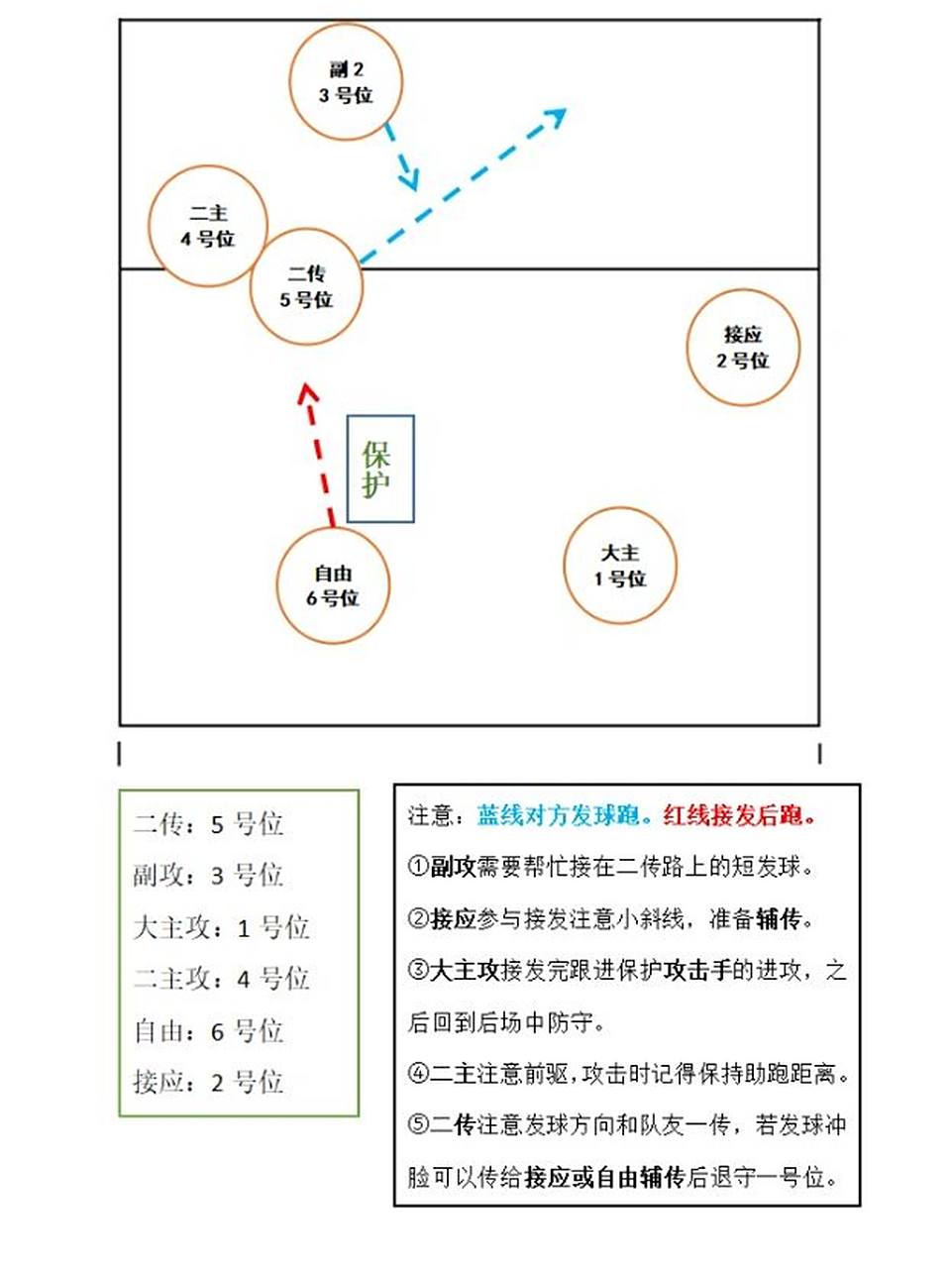 排球96‖接发站位和跑位(2) 本期的位置一样是【一五阵型】,二传的