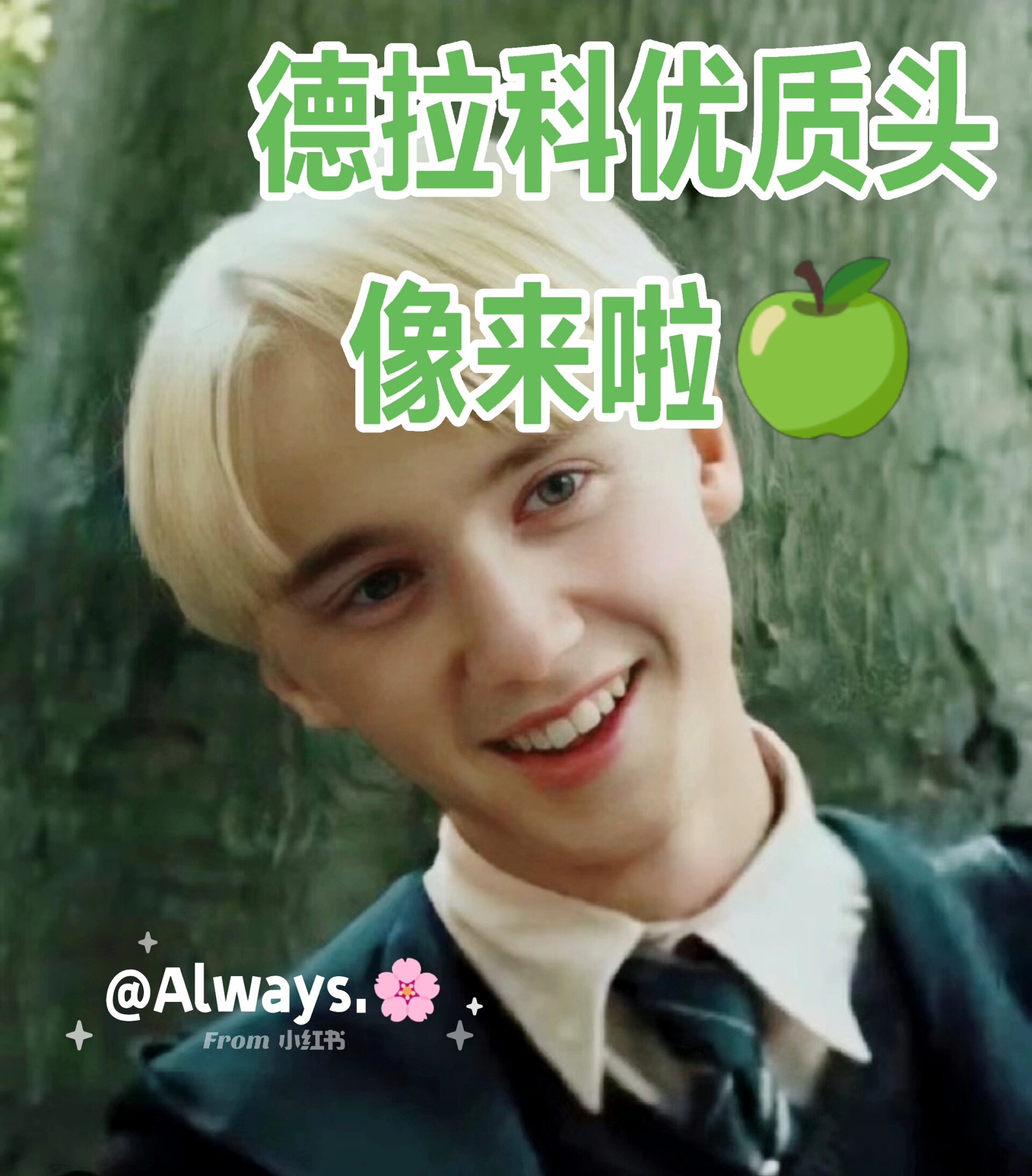 德拉科头像来啦🍏