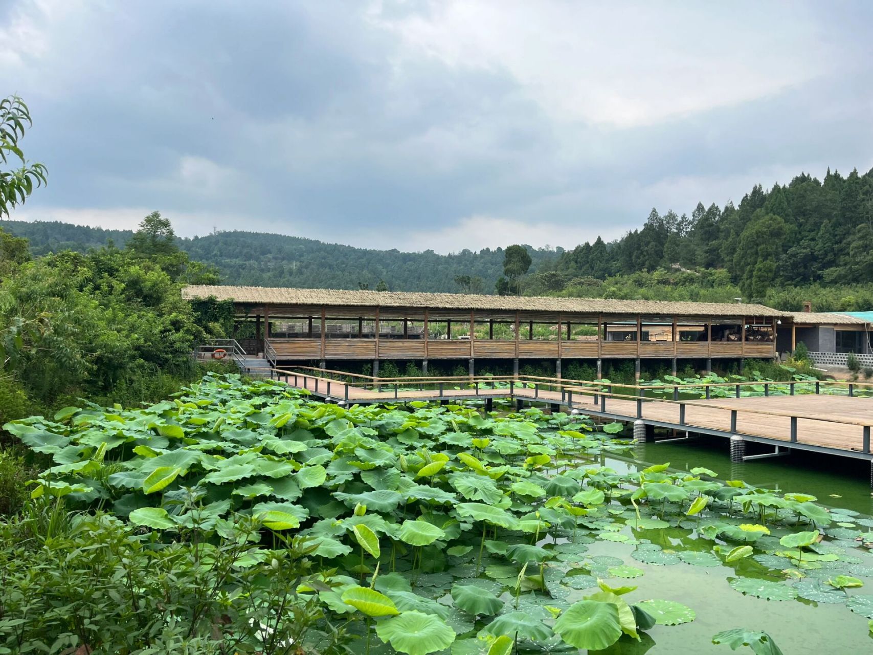 未见山民宿图片