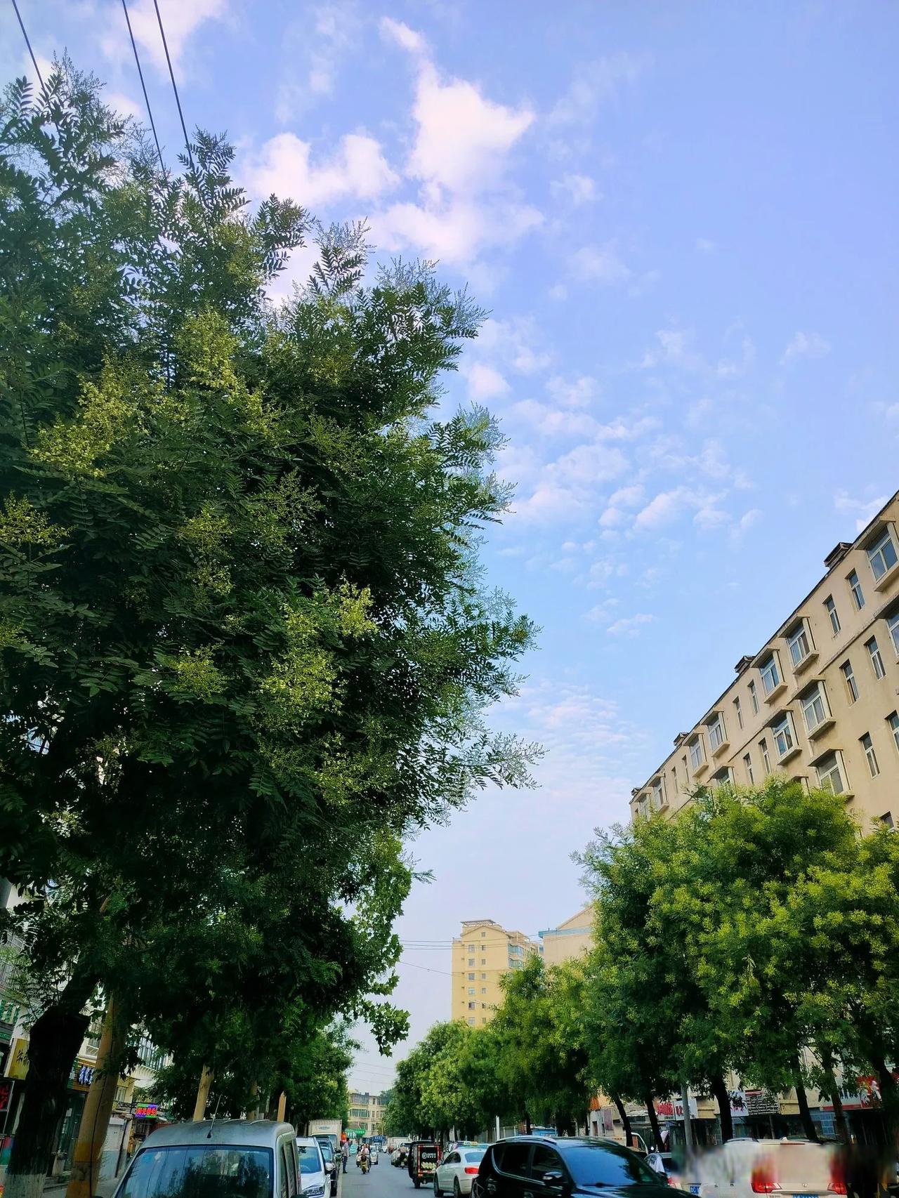 春日生活打卡季万里无云晴空万里天气很好就是天有些热感觉现在
