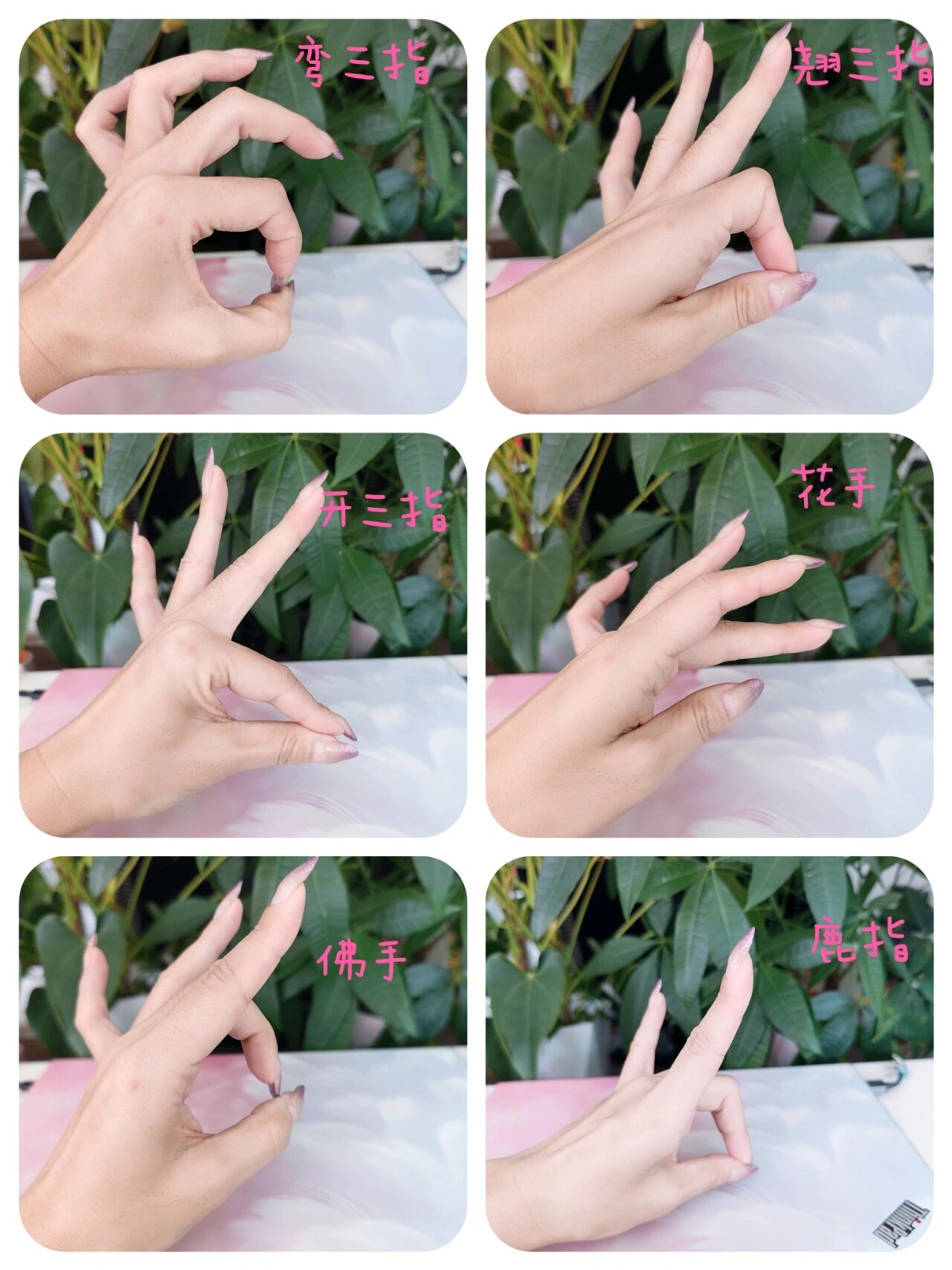 敦煌舞蹈手形普及|单手手形