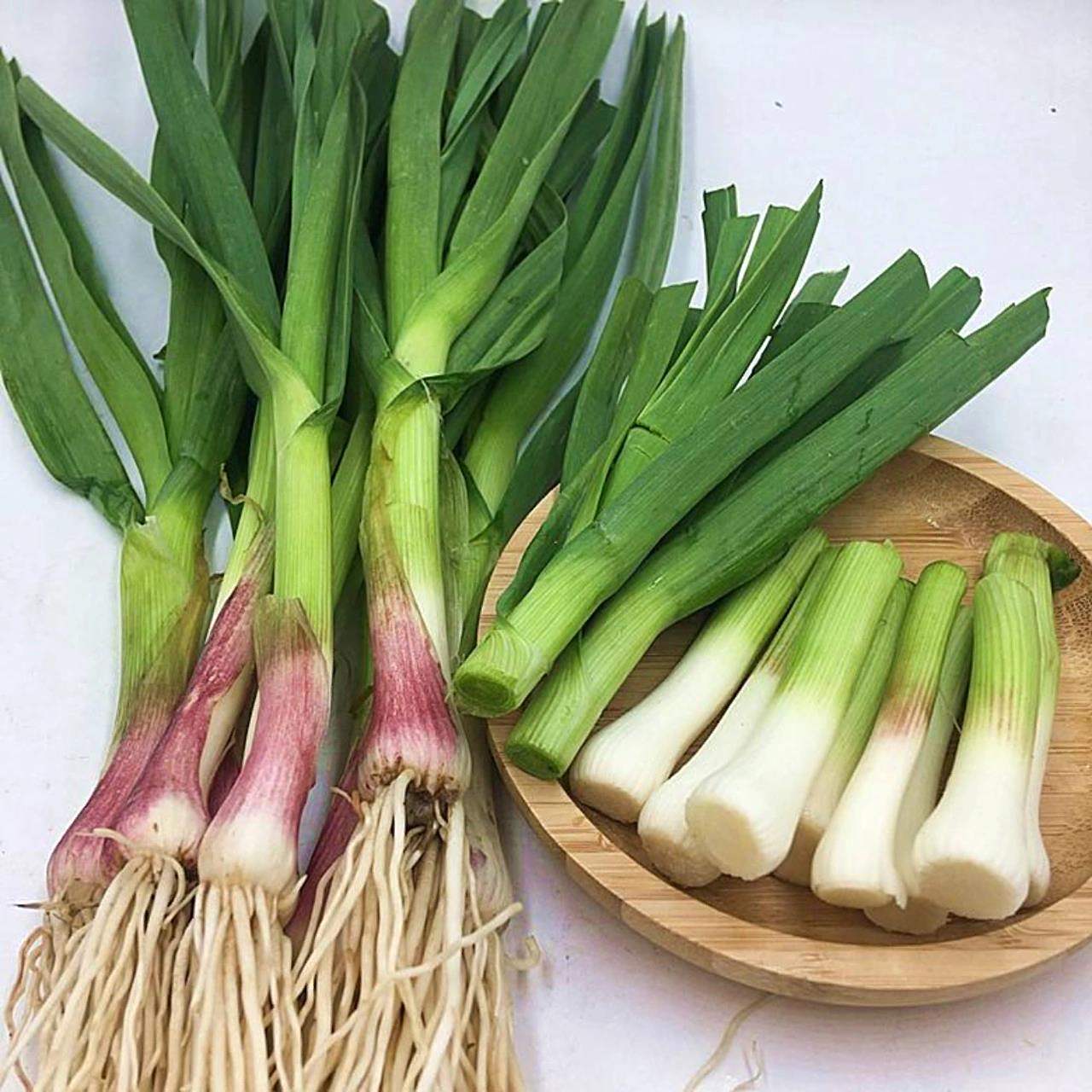 到底叫蒜苗?还是蒜苔?青蒜?