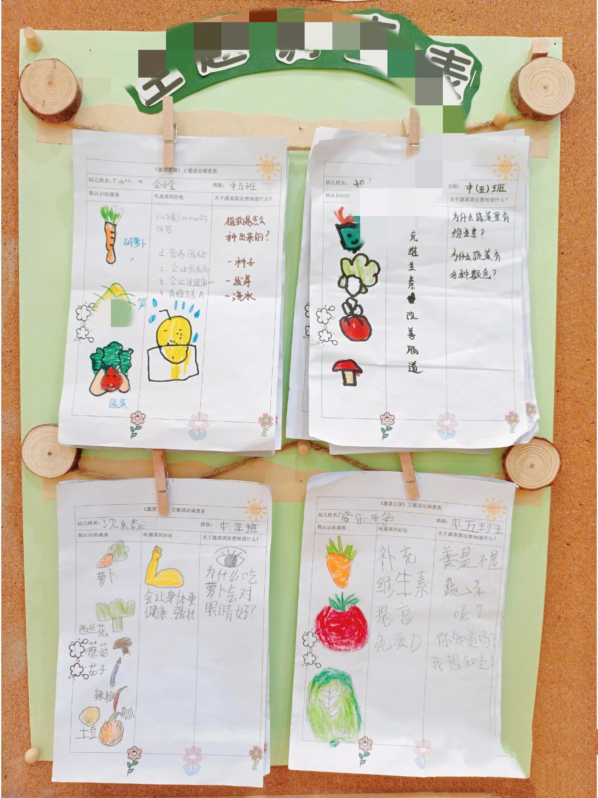 幼儿园主题环创《蔬菜》中班主题墙环境