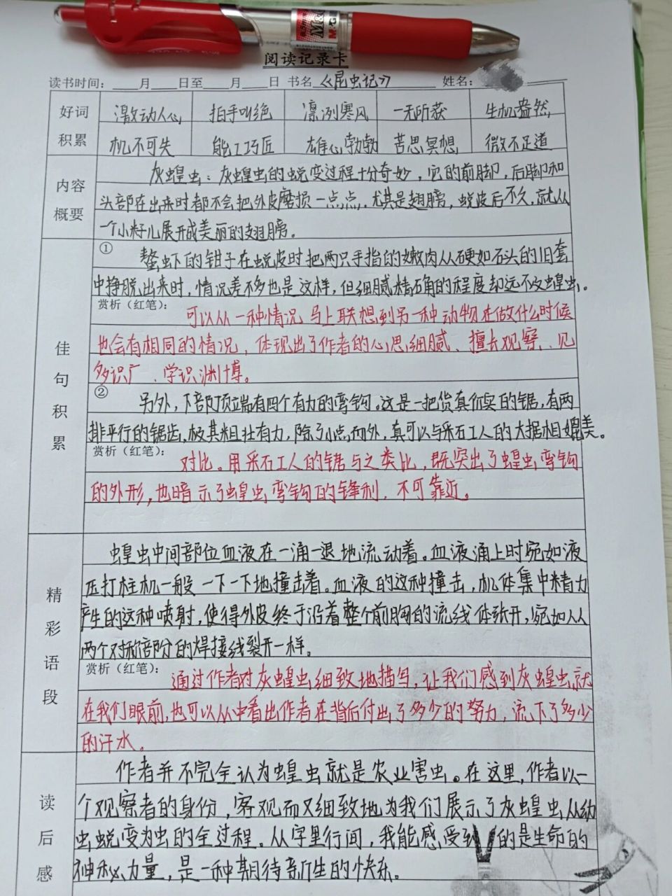 《昆虫记》灰蝗虫读书笔记 《昆虫记》辉煌虫读书笔记