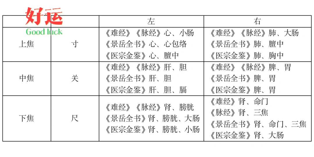 寸关尺分配的脏腑图解图片