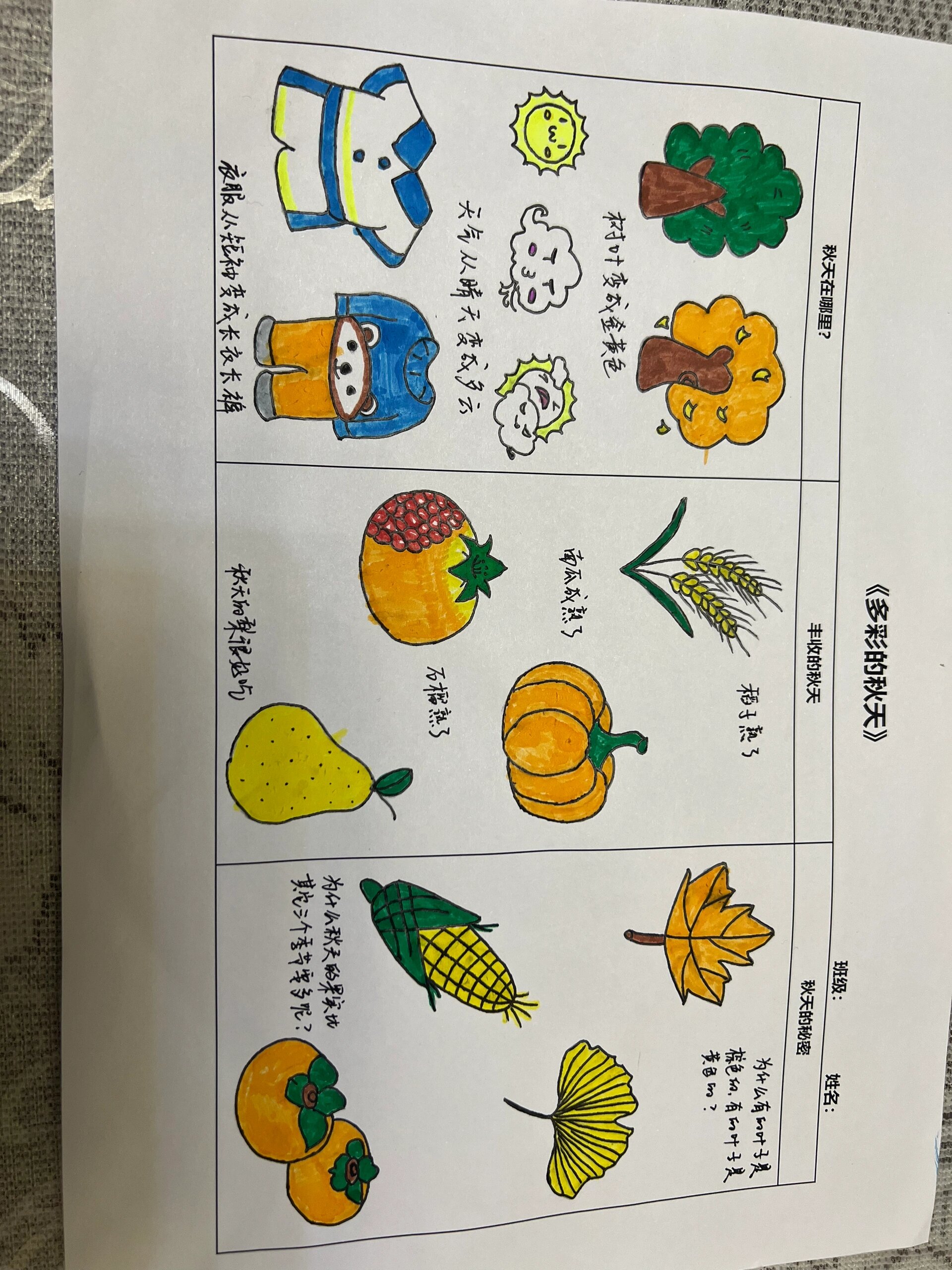 幼儿园中班|多彩的秋天 又是费妈的作业