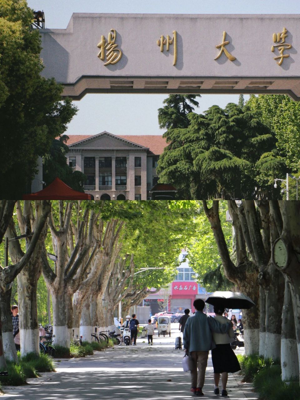 扬州|扬州大学(瘦西湖校区) 扬州大学,不与人伦,文章千古,风雅无尘,我