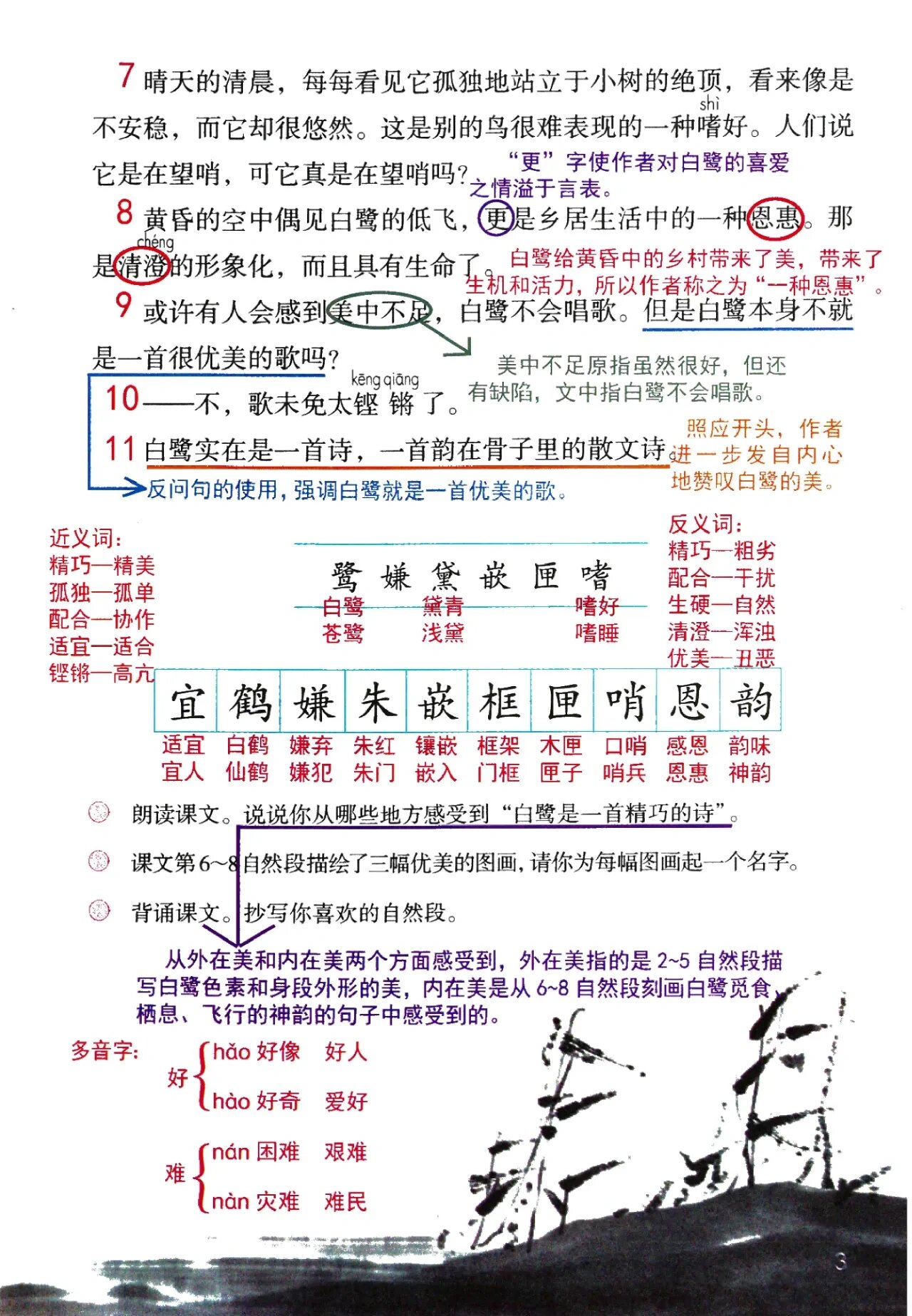 白鹭课文照片图片